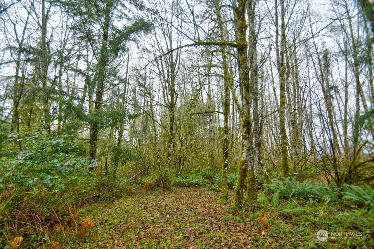 0 Crego Ridge Road Chehalis, WA 98532 - Photo 13 of 25 a view of yard
