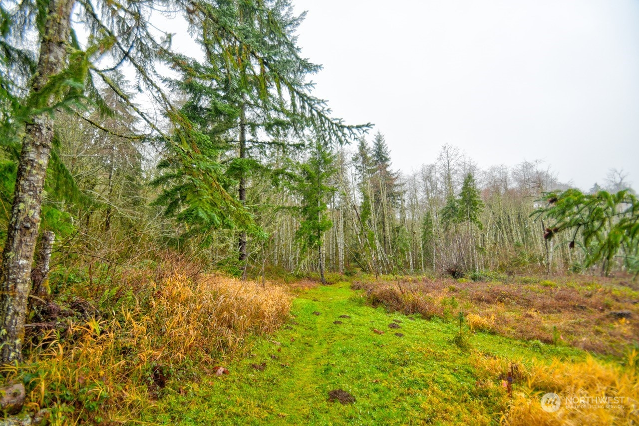 0 Crego Ridge Road Chehalis, WA 98532 - Photo 14 of 25 a view of backyard with green space