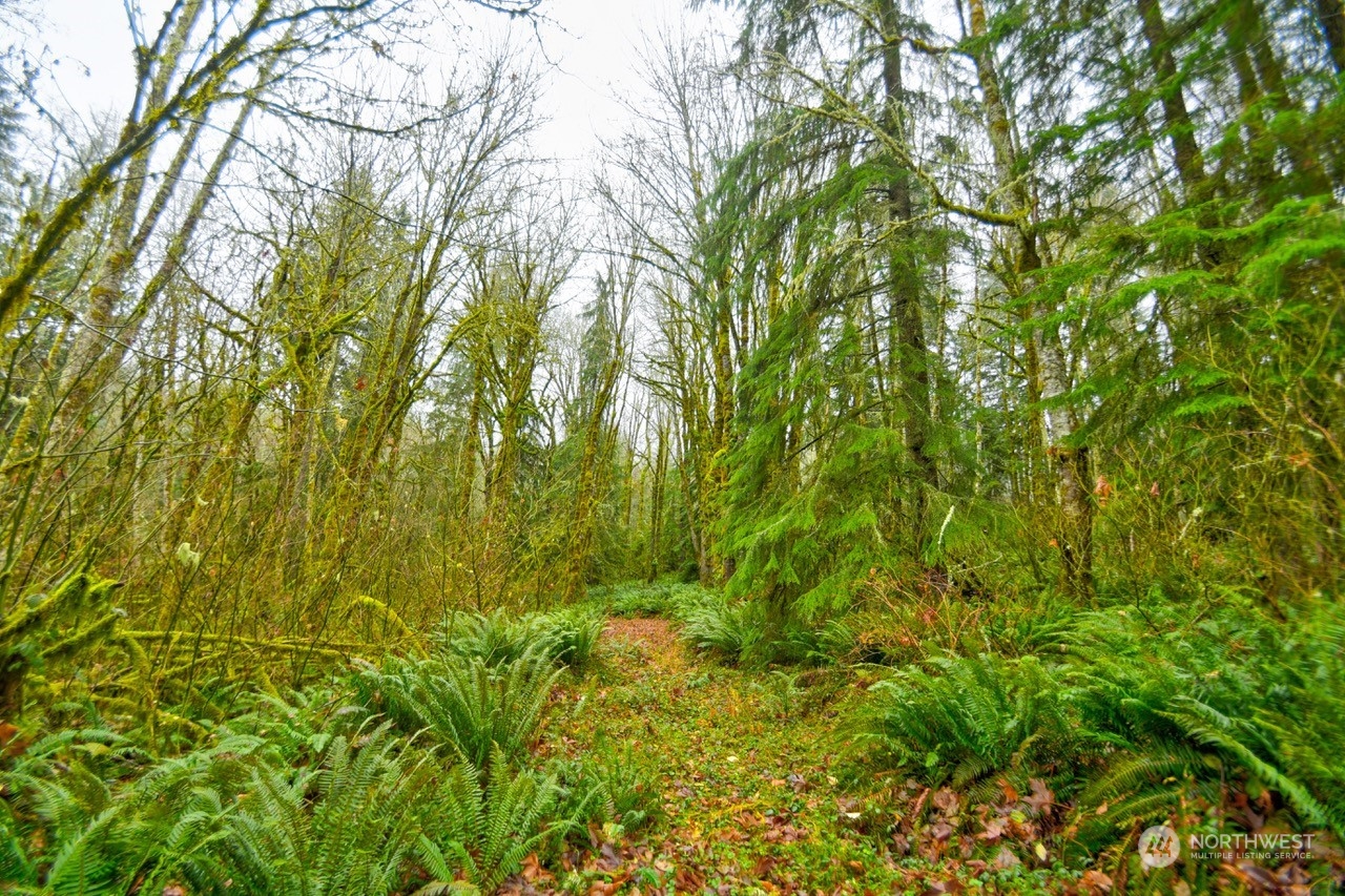 0 Crego Ridge Road Chehalis, WA 98532 - Photo 17 of 25 a view of a yard