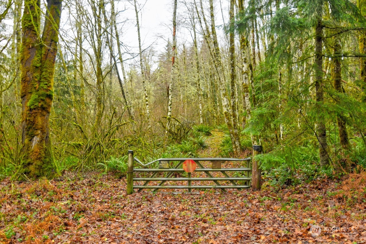 0 Crego Ridge Road Chehalis, WA 98532 - Photo 2 of 25 a backyard of a house with lots of green space and sink