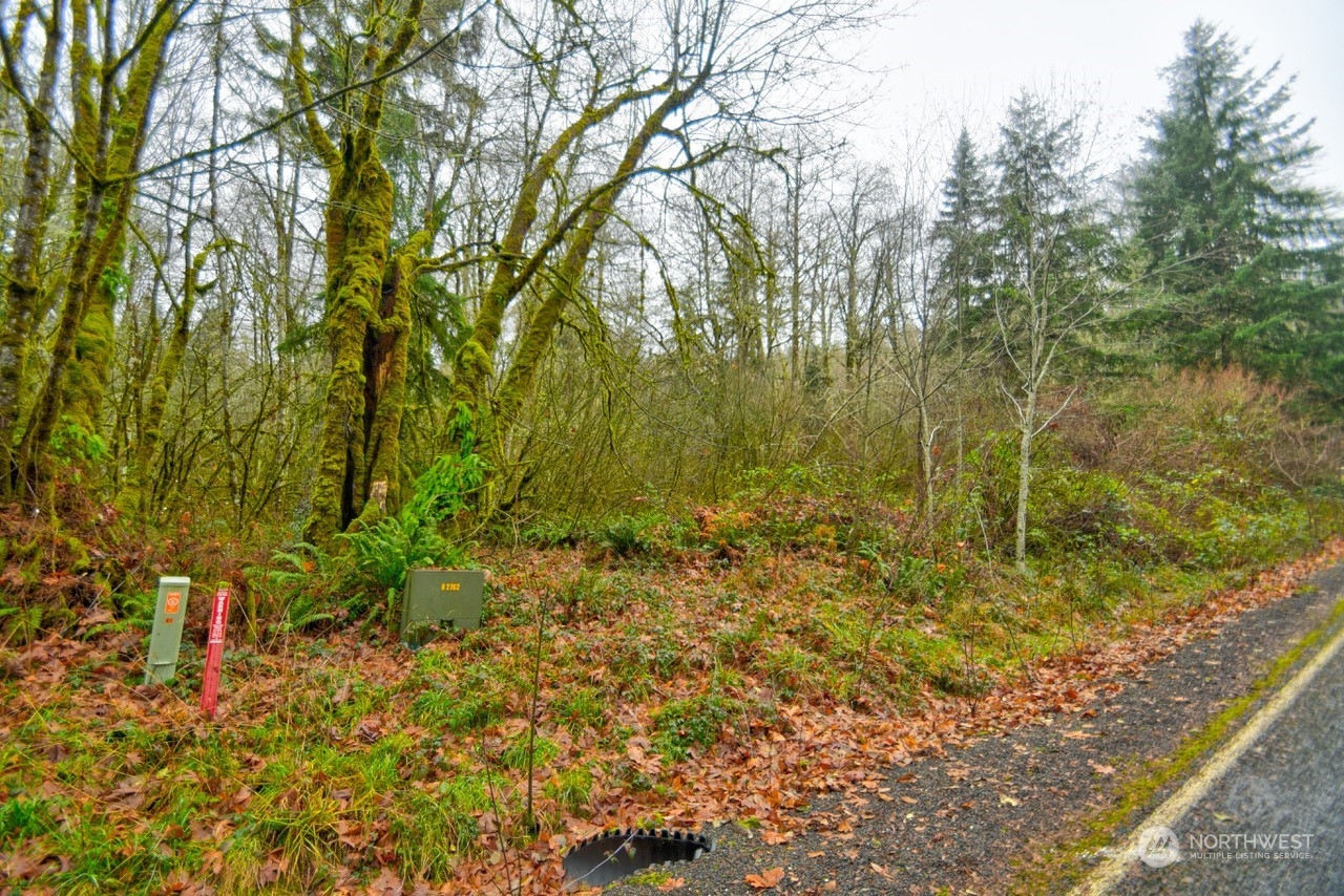 0 Crego Ridge Road Chehalis, WA 98532 - Photo 21 of 25 a view of a garden
