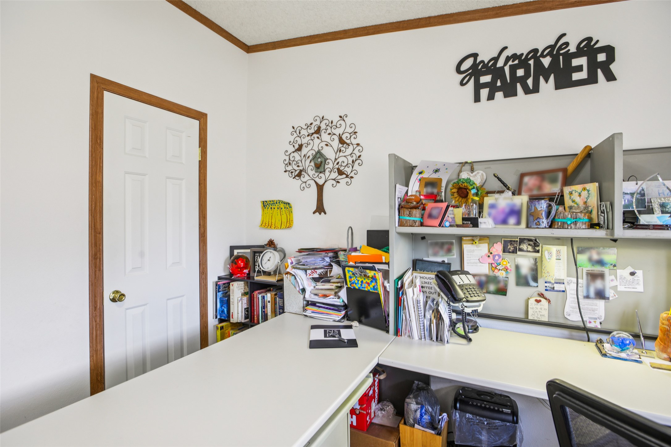 372 Hofferek Road Rosanky, TX 78953 - Photo 19 of 40 Office space with ornamental molding