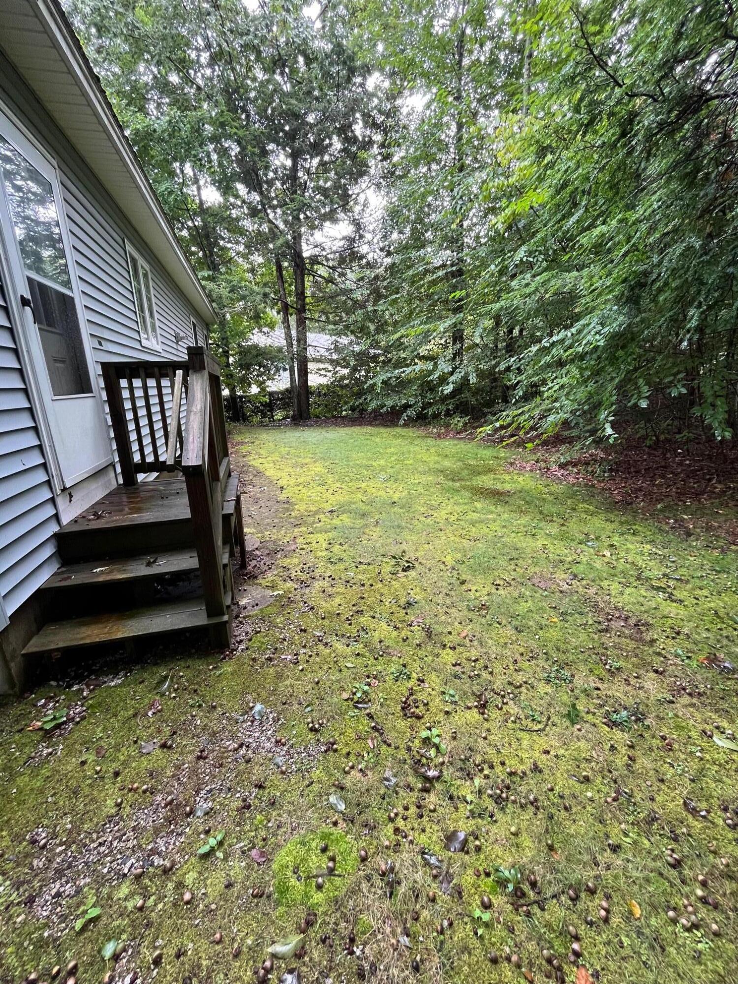 4 Gingerbread Lane York, ME 03909 - Photo 16 of 16 backyard