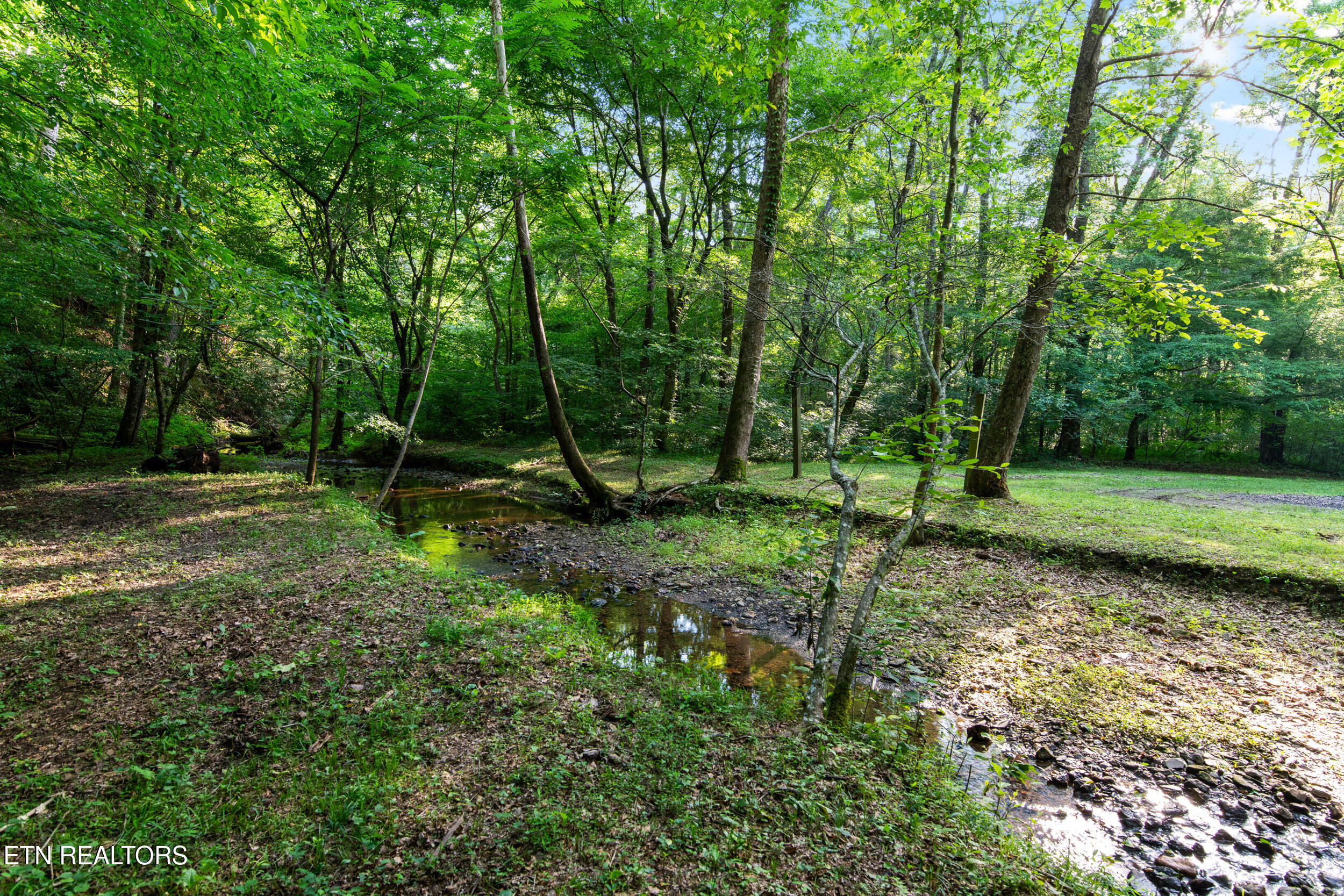 610 Towee Falls Road Tellico Plains, TN 37385 - Photo 7 of 60 610 towee falls rd-11