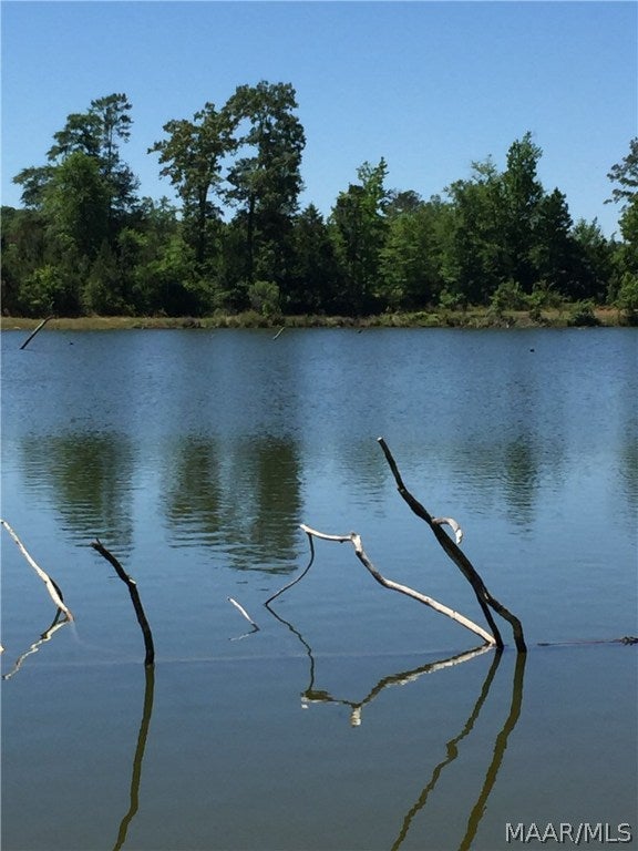 O O Naftel Road Ramer, AL 36069 - Photo 19 of 25 Gallery Image 19