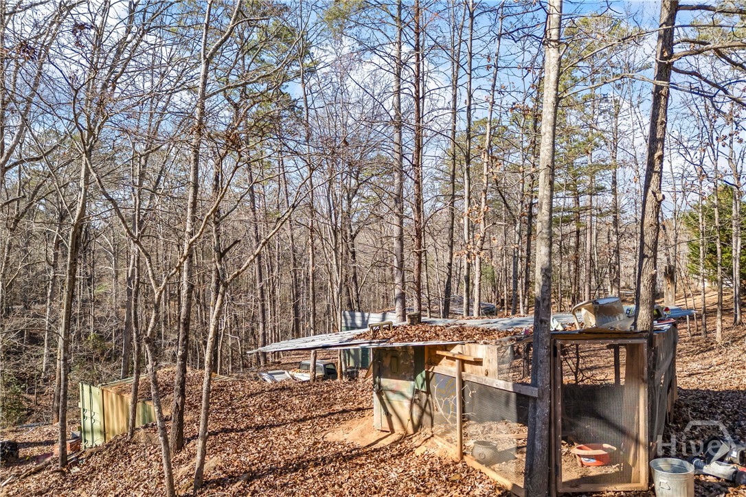183 Golden Valley Drive Demorest, GA 30535 - Photo 49 of 58