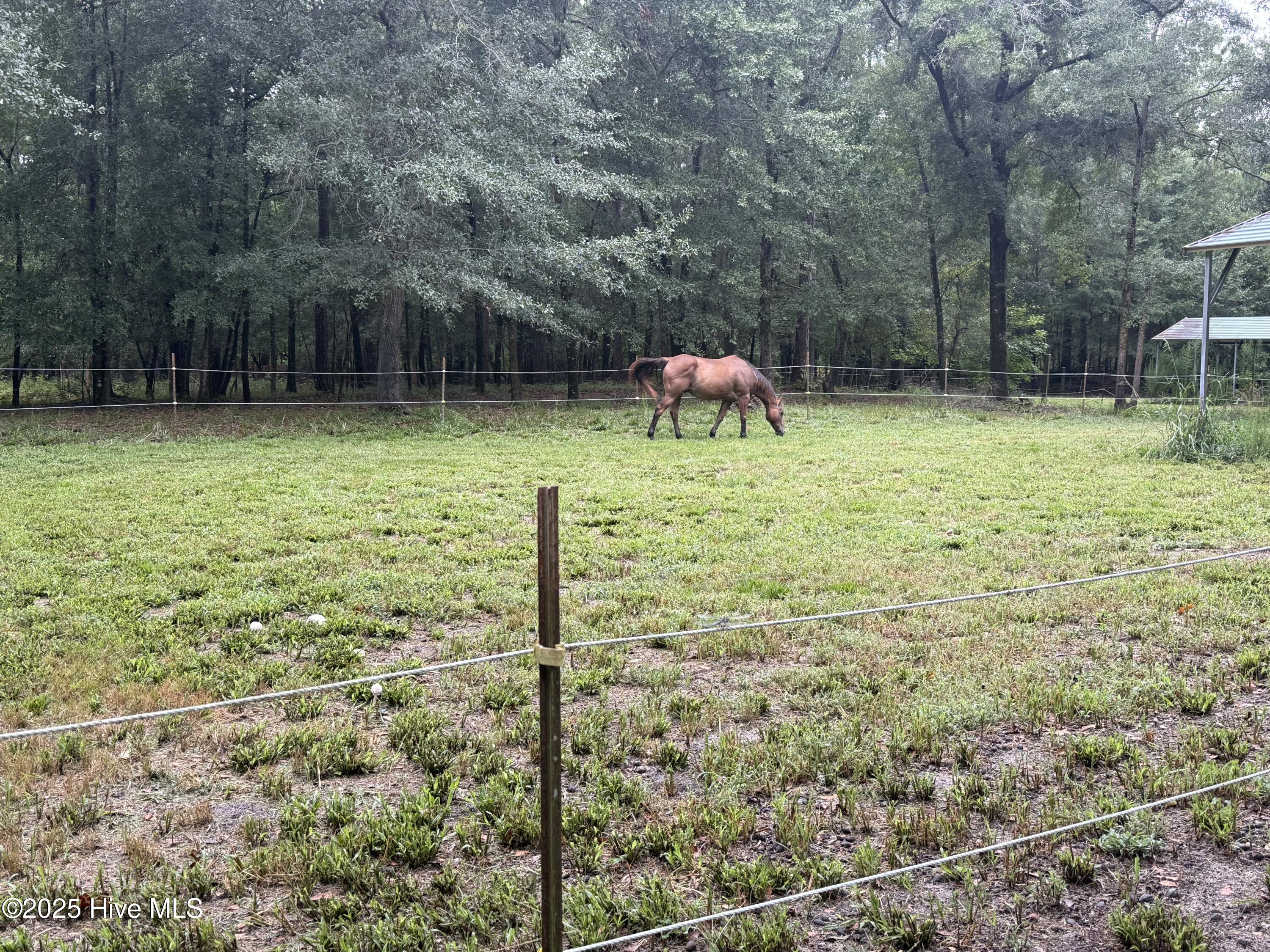 1913 Jimmys Road New Bern, NC 28560 - Photo 11 of 43 IMG_8746