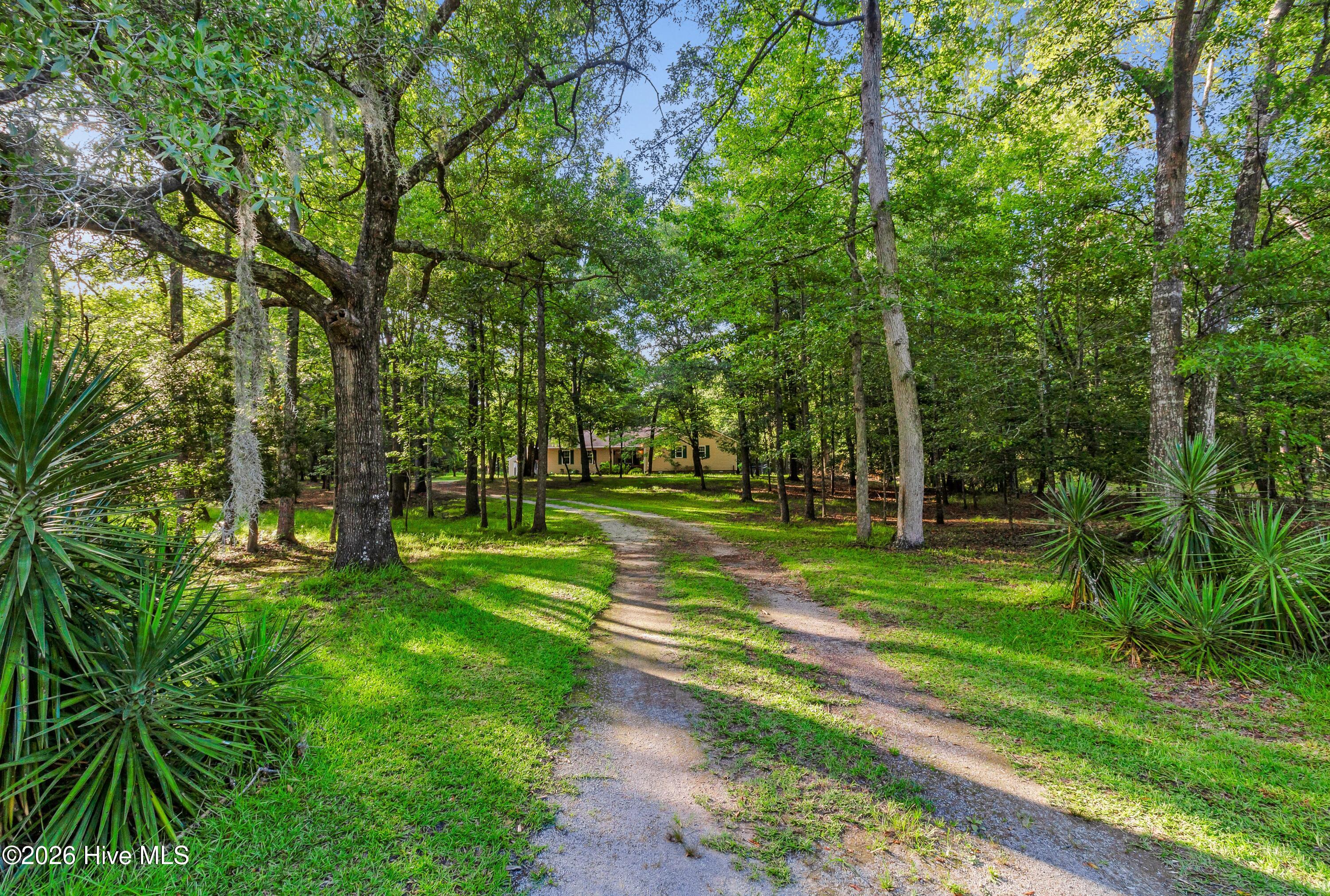 1913 Jimmys Road New Bern, NC 28560 - Photo 3 of 43 1