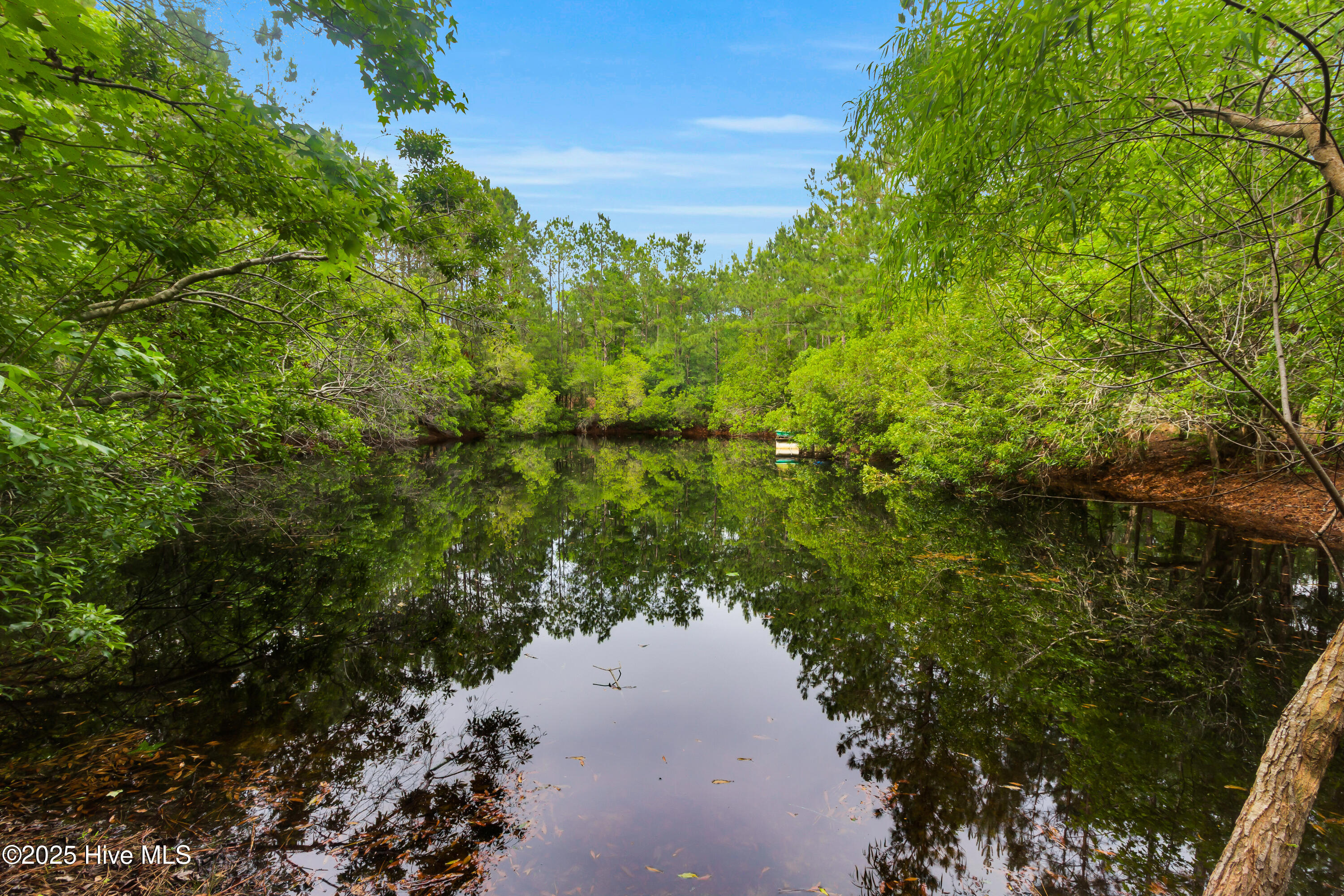 1913 Jimmys Road New Bern, NC 28560 - Photo 8 of 23 18