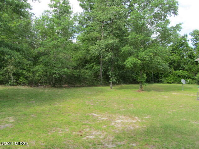 1383 Hamlin Road Lizella, GA 31052 - Photo 4 of 15 a view of a field with a trees