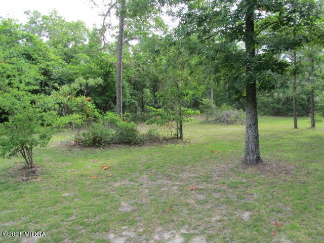 1383 Hamlin Road Lizella, GA 31052 - Photo 5 of 15 a view of a green field with lots of trees