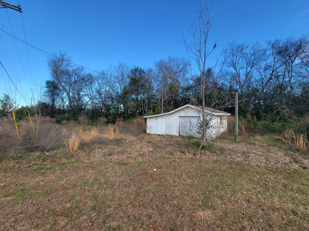 49-acres Pansey Road Ashford, AL 36312 - Photo 4 of 16