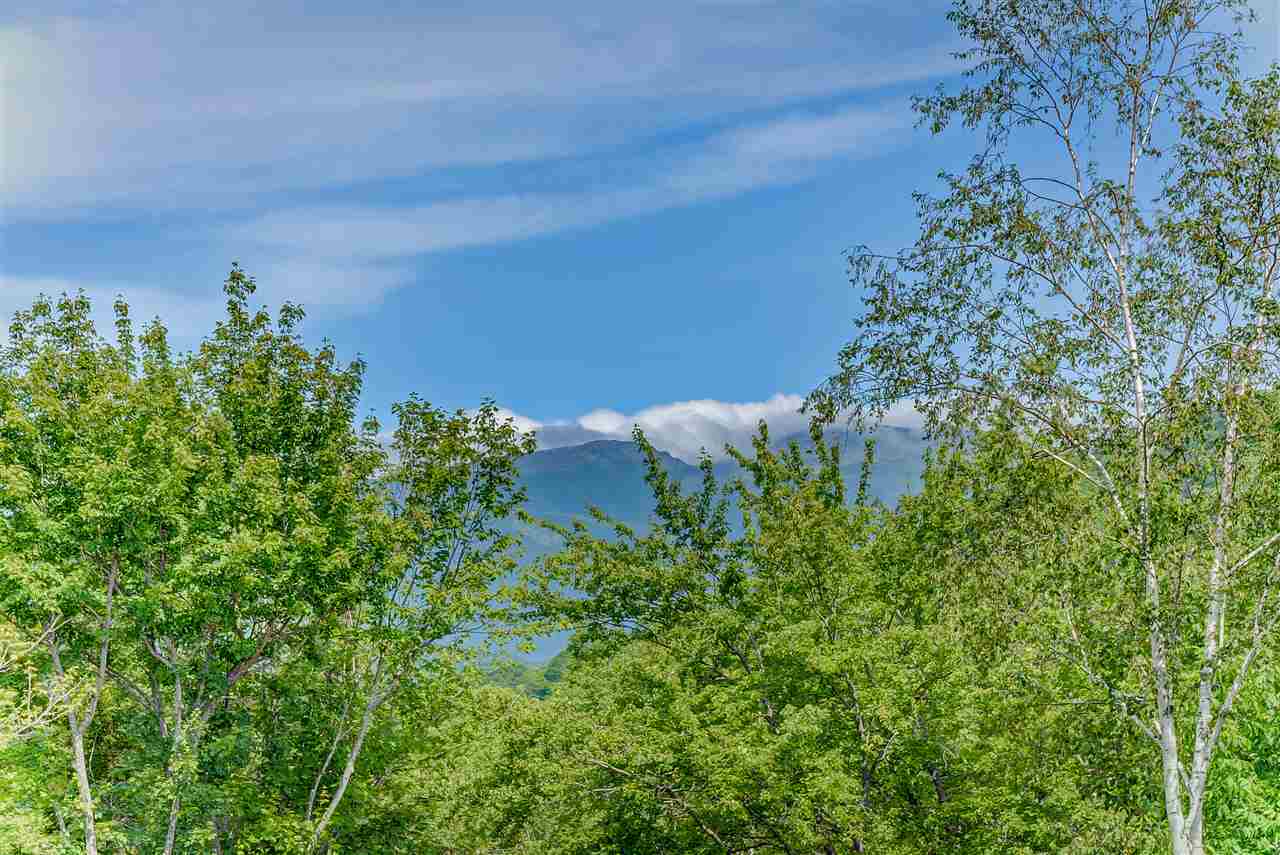 19 Mountain View Road Jackson, NH 03846 - Photo 2 of 40