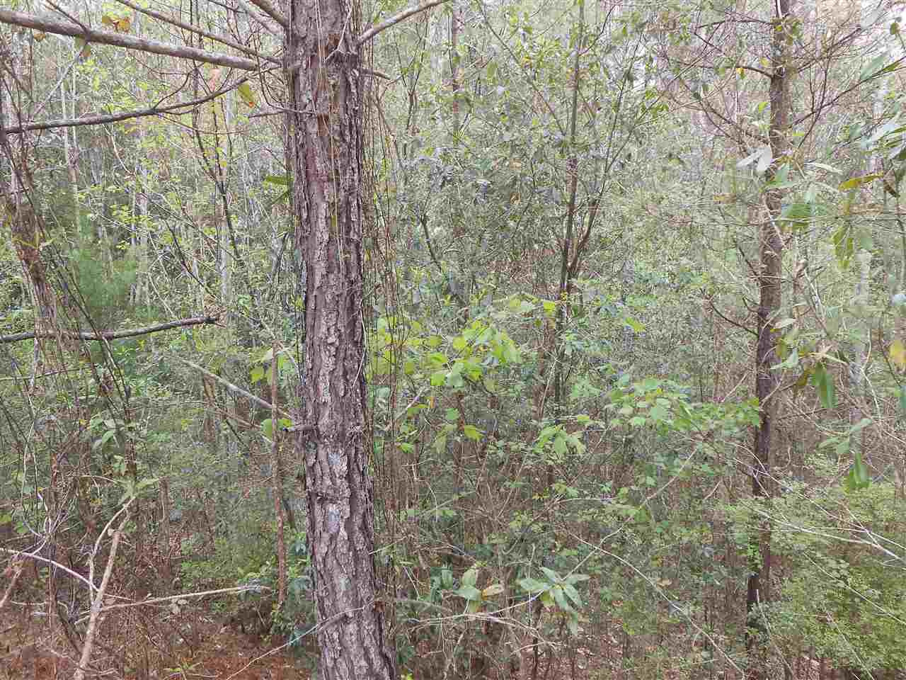 0 Dunaway Road Foxworth, MS 39483 - Photo 1 of 1 Photo 1