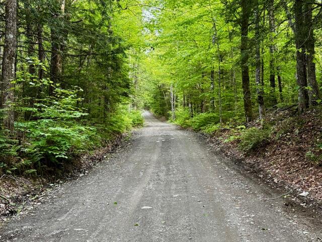 89 Judkins Road Harmony, ME 04942 - Photo 28 of 28 IMG_2782