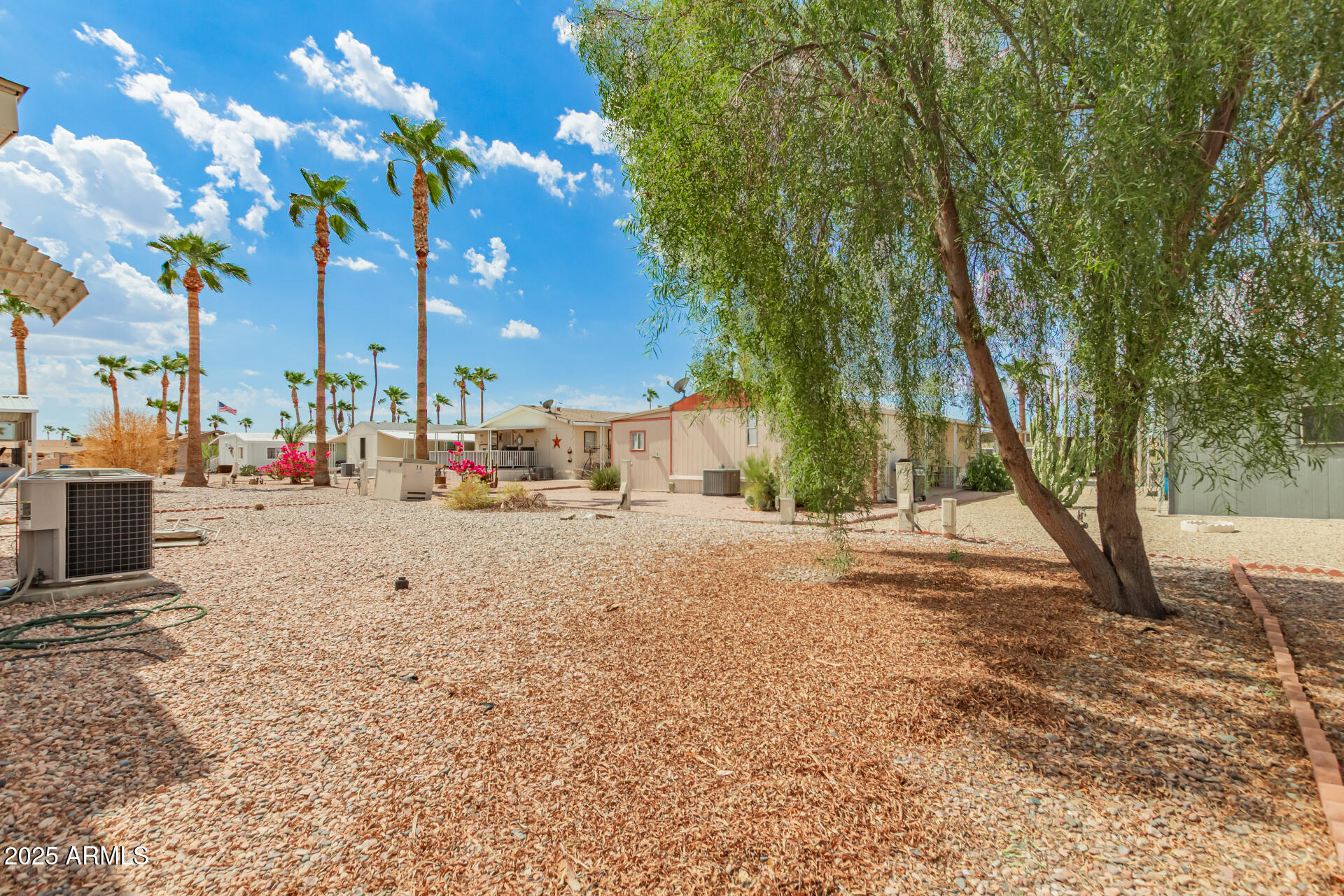 301 South Signal Butte Road, Unit 706 Apache Junction, AZ 85120 - Photo 38 of 48 a view of road with large trees
