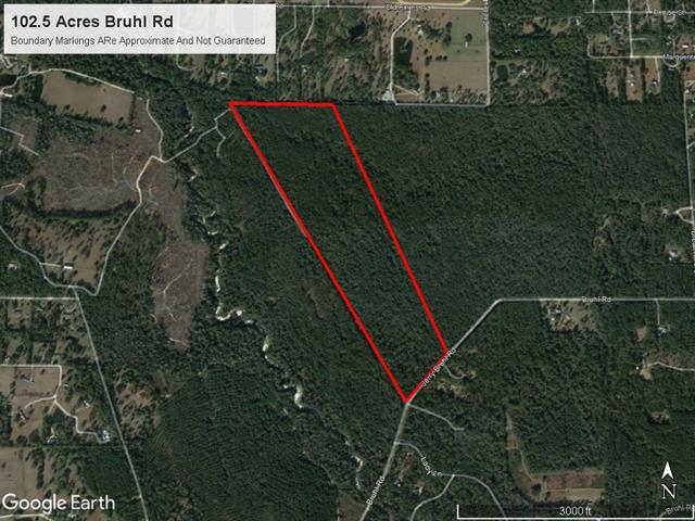 102-acres Bruhl Road Folsom, LA 70437 - Photo 3 of 4 Gallery Image 3