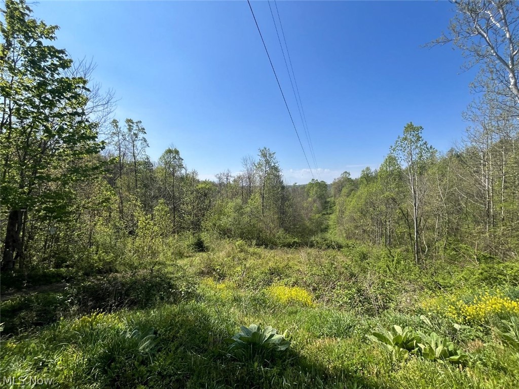 49250 Cowgill Road Summerfield, OH 43788 - Photo 24 of 44