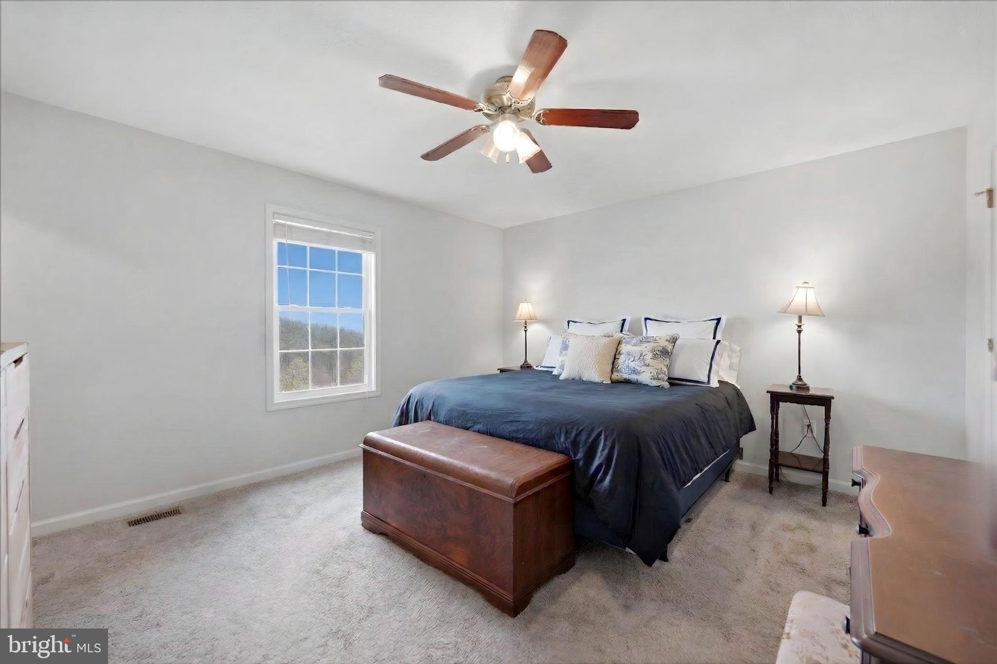 163 Cliffside Road Linden, VA 22642 - Photo 4 of 22