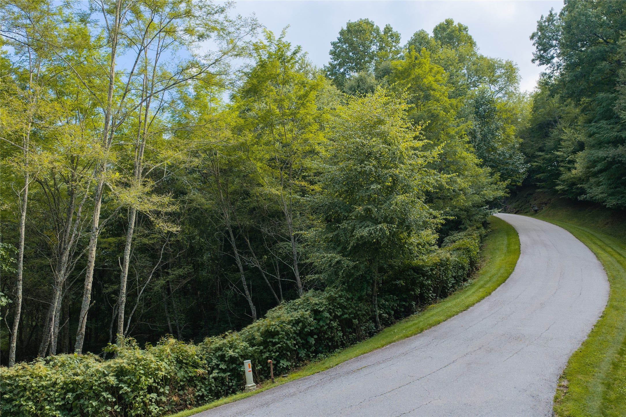 40 Center Ridge Road Sylva, NC 28779 - Photo 3 of 30 Gallery Image 3