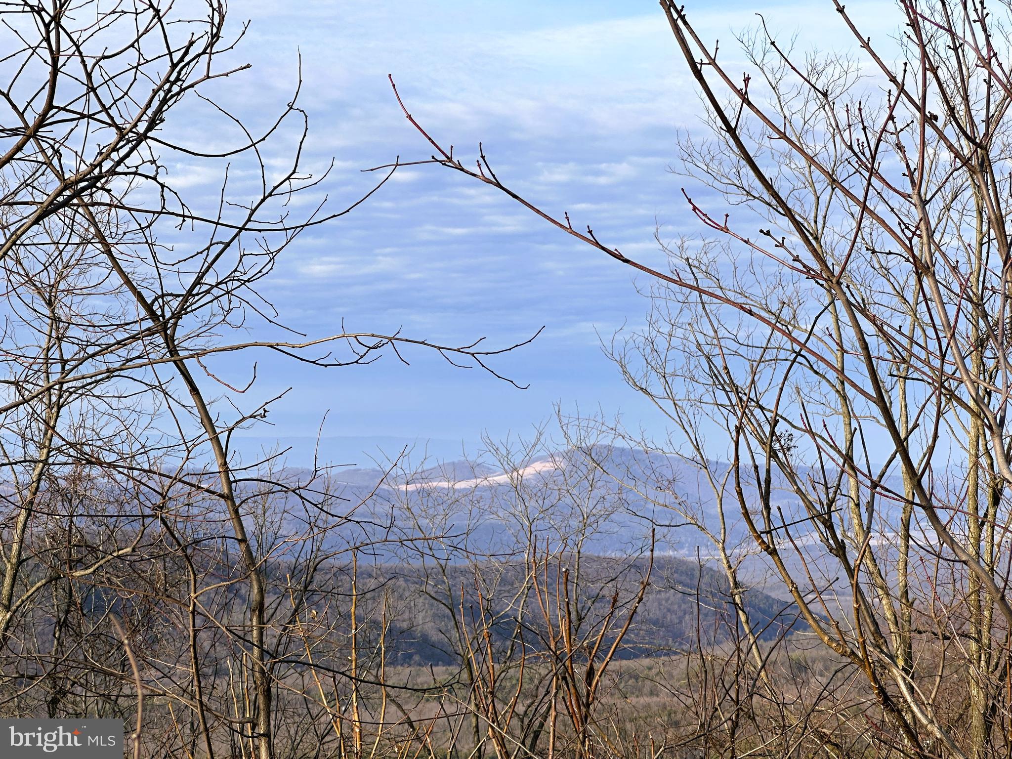 333 Nathaniel Mountain Road Moorefield, WV 26836 - Photo 37 of 65