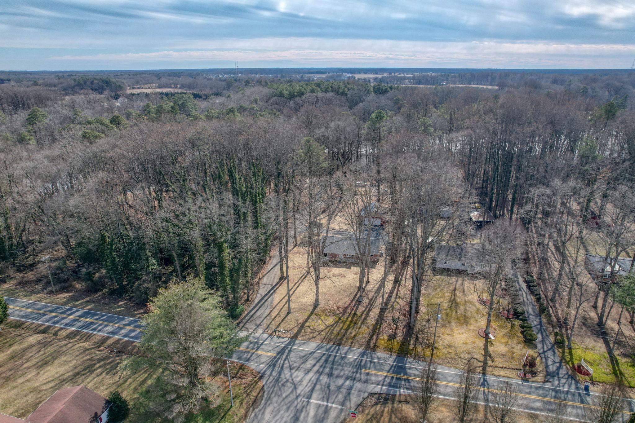 3250 Andrews Lake Road Felton, DE 19943 - Photo 40 of 46 Beautiful wooded area