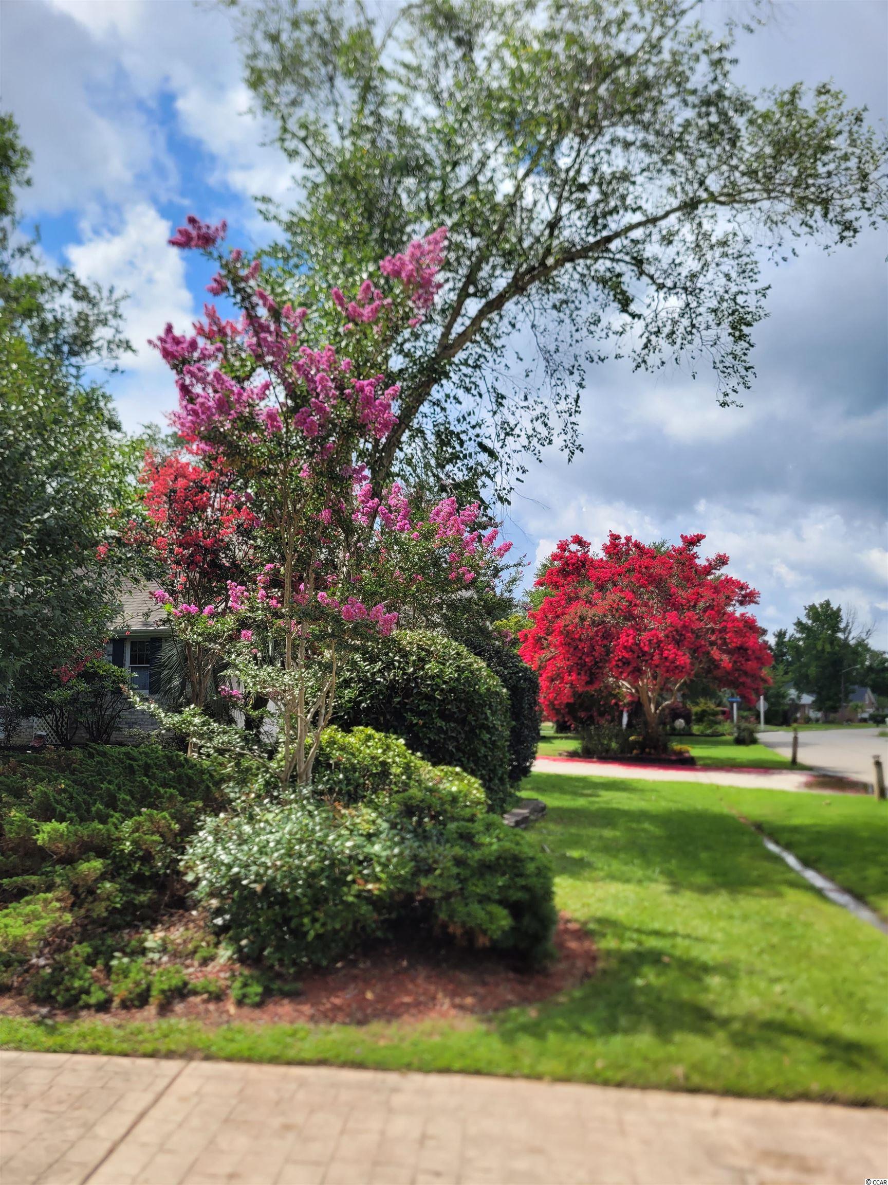 499 Saluda River Road Myrtle Beach, SC 29588 - Photo 14 of 29 Gallery Image 14