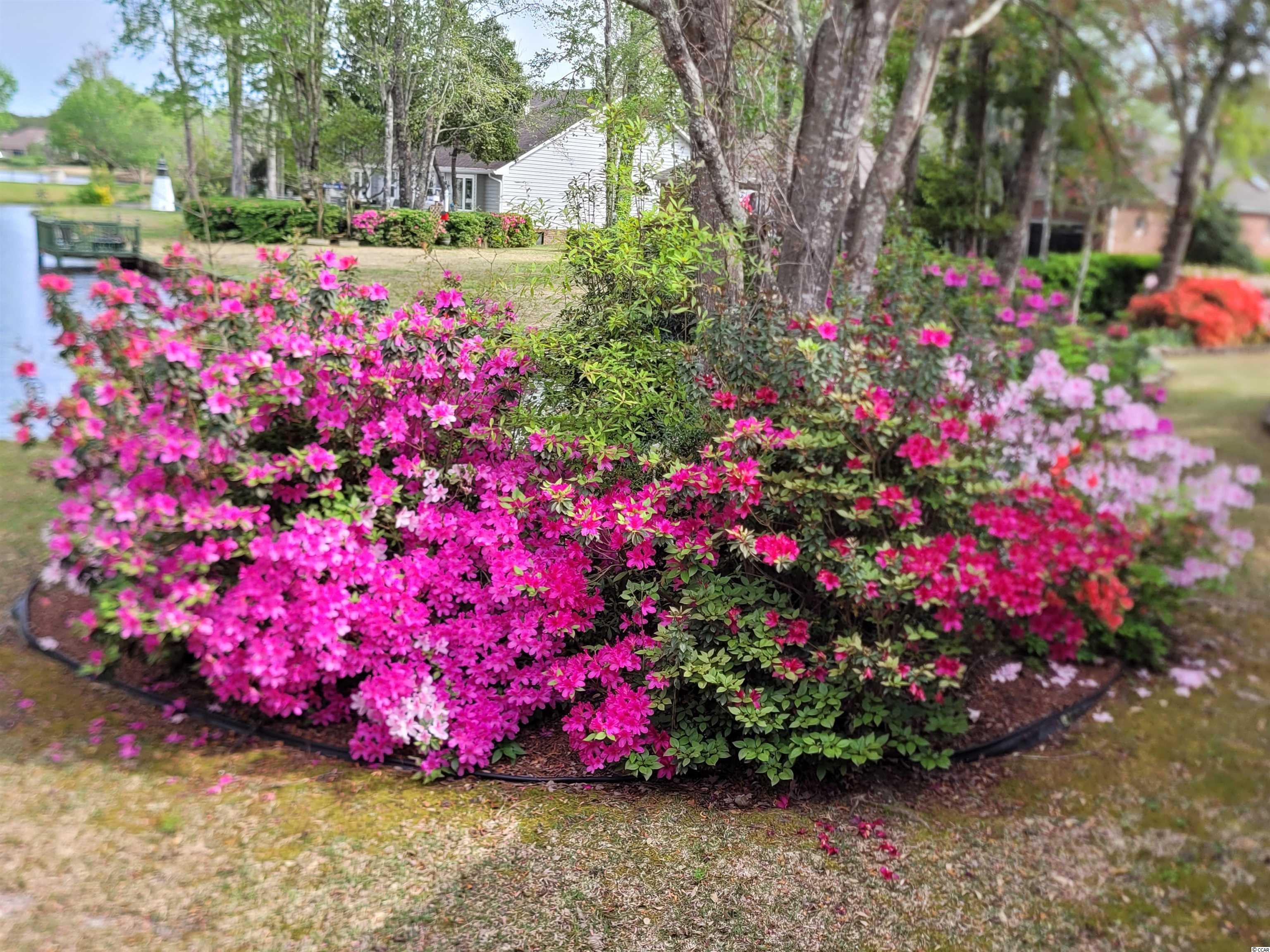 499 Saluda River Road Myrtle Beach, SC 29588 - Photo 10 of 29 Gallery Image 10