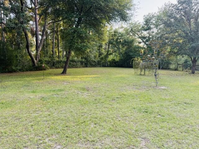11817 Southwest 58th Street Webster, FL 33597 - Photo 38 of 46 a view of empty field with trees