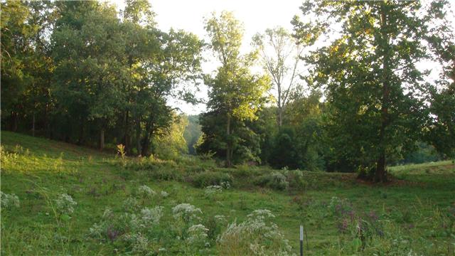 86 Hughey Road Fayetteville, TN 37334 - Photo 14 of 20 Gallery Image 14