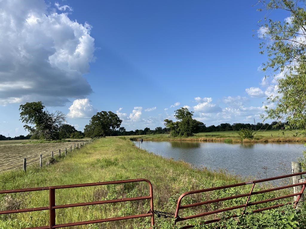 15130 Fm 39 Road Bedias, TX 77831 - Photo 18 of 26