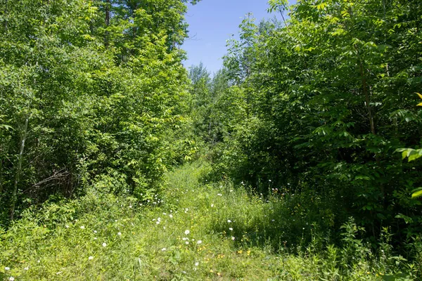 $99,900 | 0 North Riverside Road, Moose Lake, MN 55767