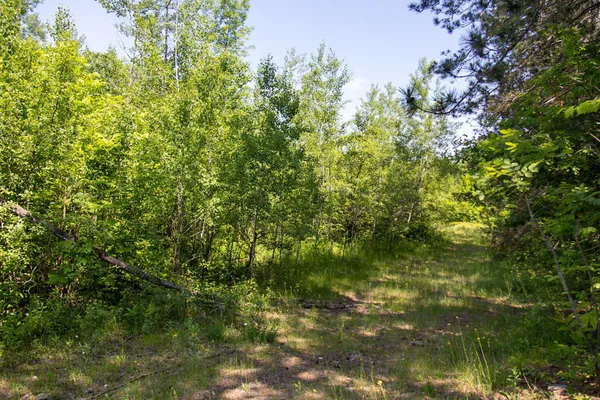 $99,900 | 0 North Riverside Road, Moose Lake, MN 55767