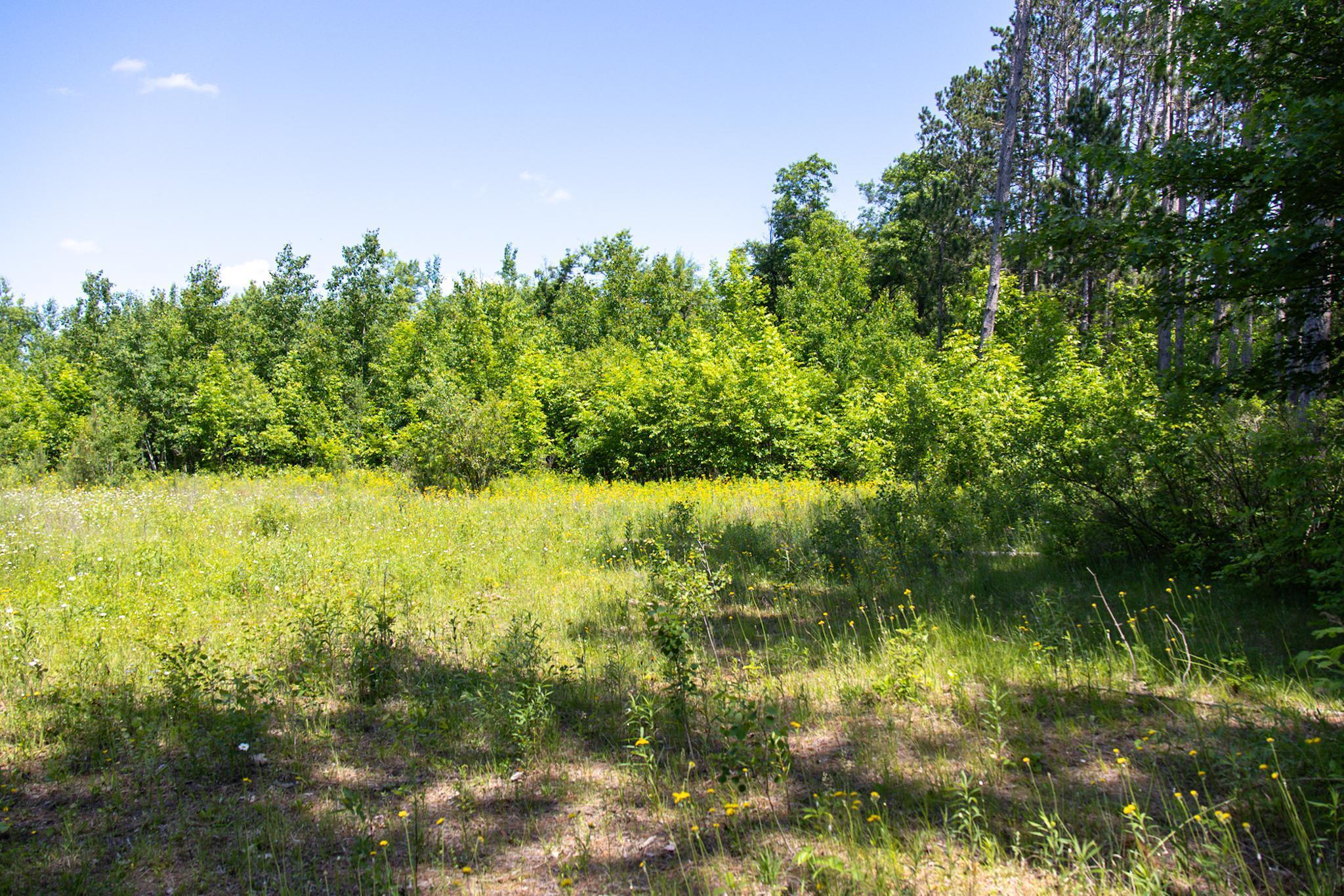 0 North Riverside Road Moose Lake, MN 55767 - Photo 6 of 11