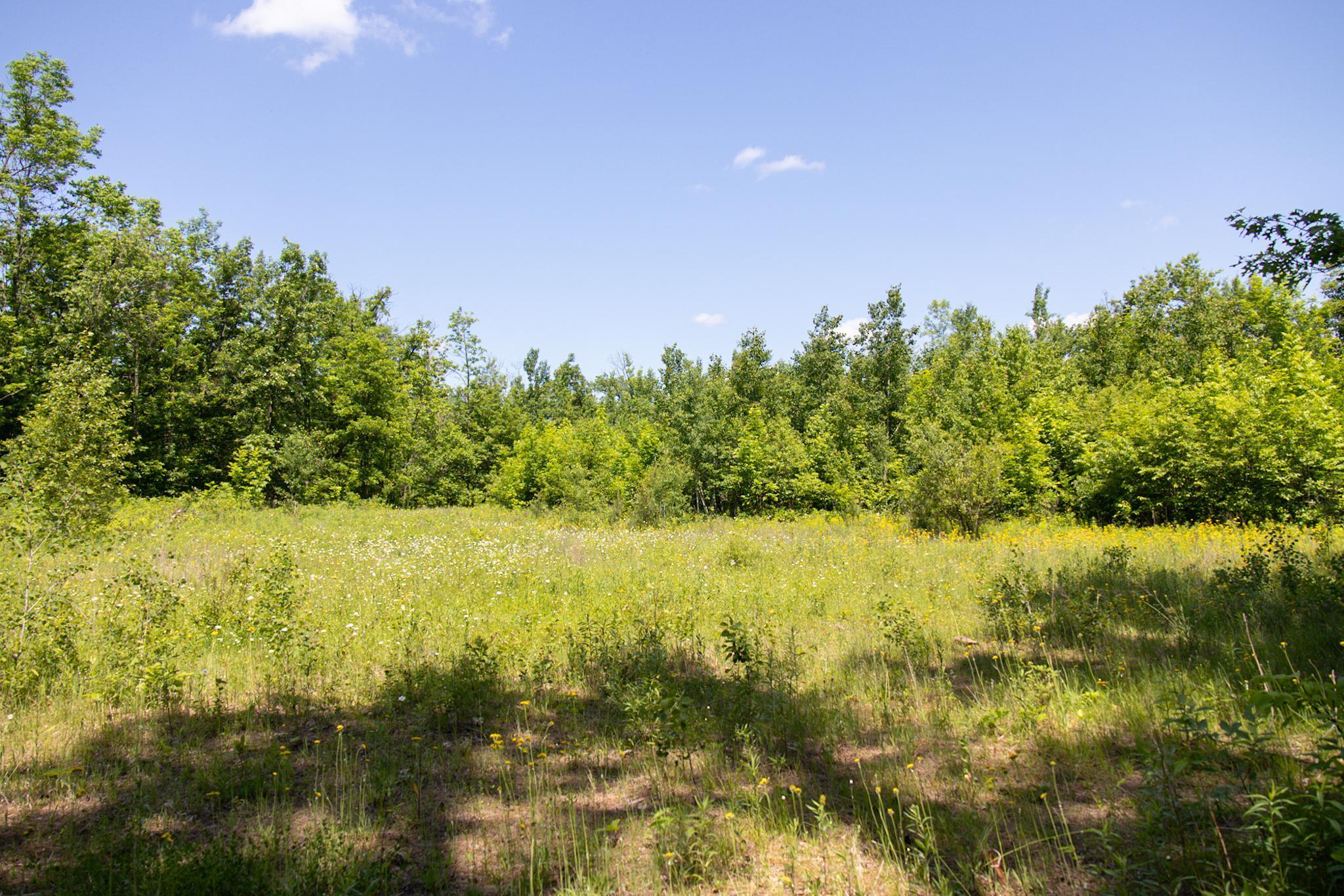 0 North Riverside Road Moose Lake, MN 55767 - Photo 7 of 11