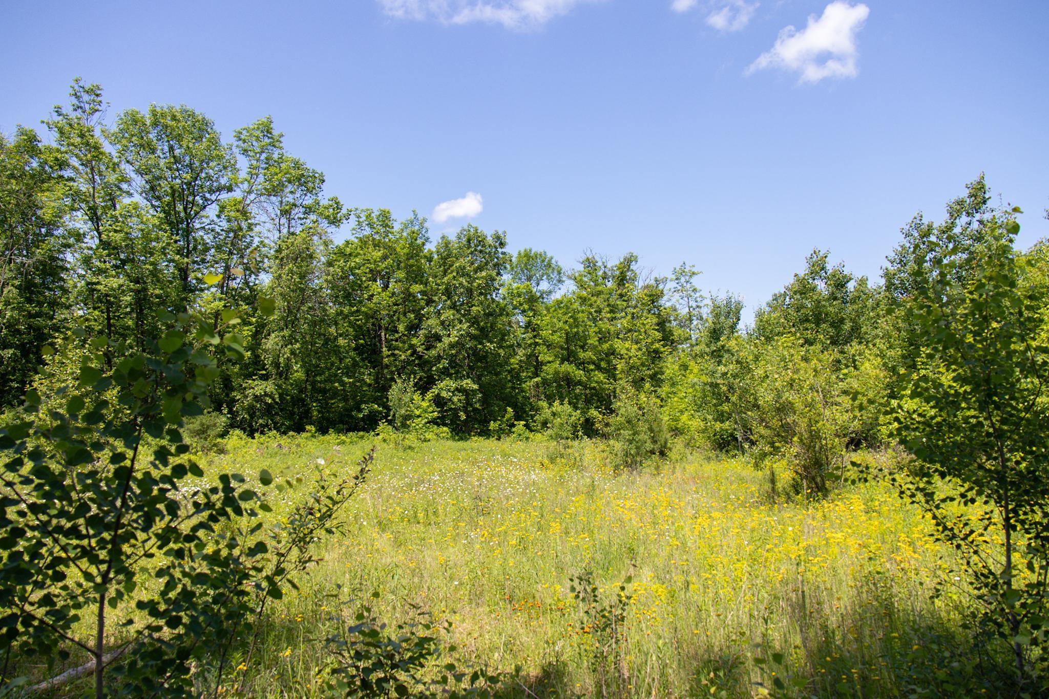 0 North Riverside Road Moose Lake, MN 55767 - Photo 8 of 11