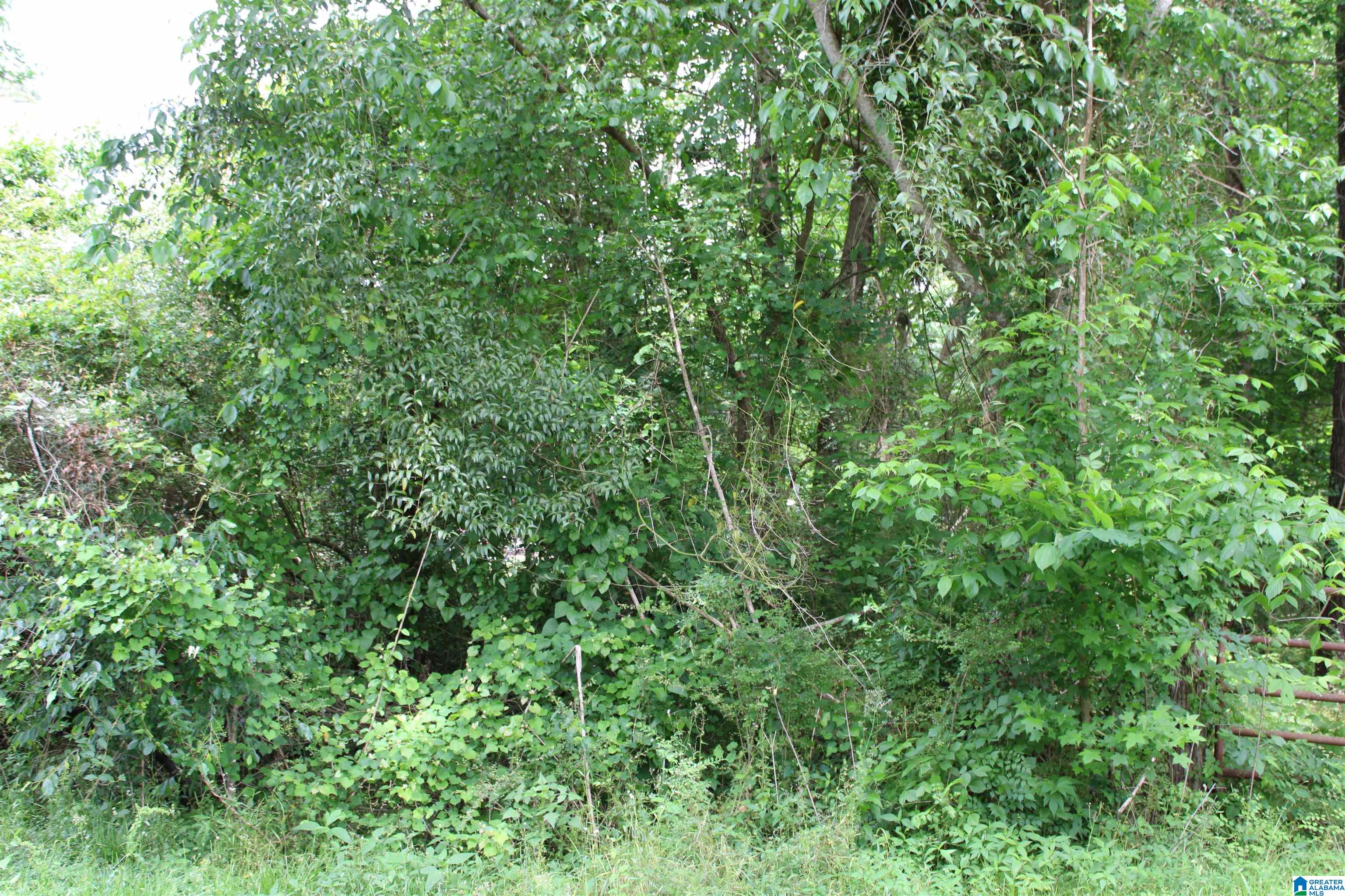 0 Wooten Road, Unit 6 ACRES Alabaster, AL 35007 - Photo 5 of 8