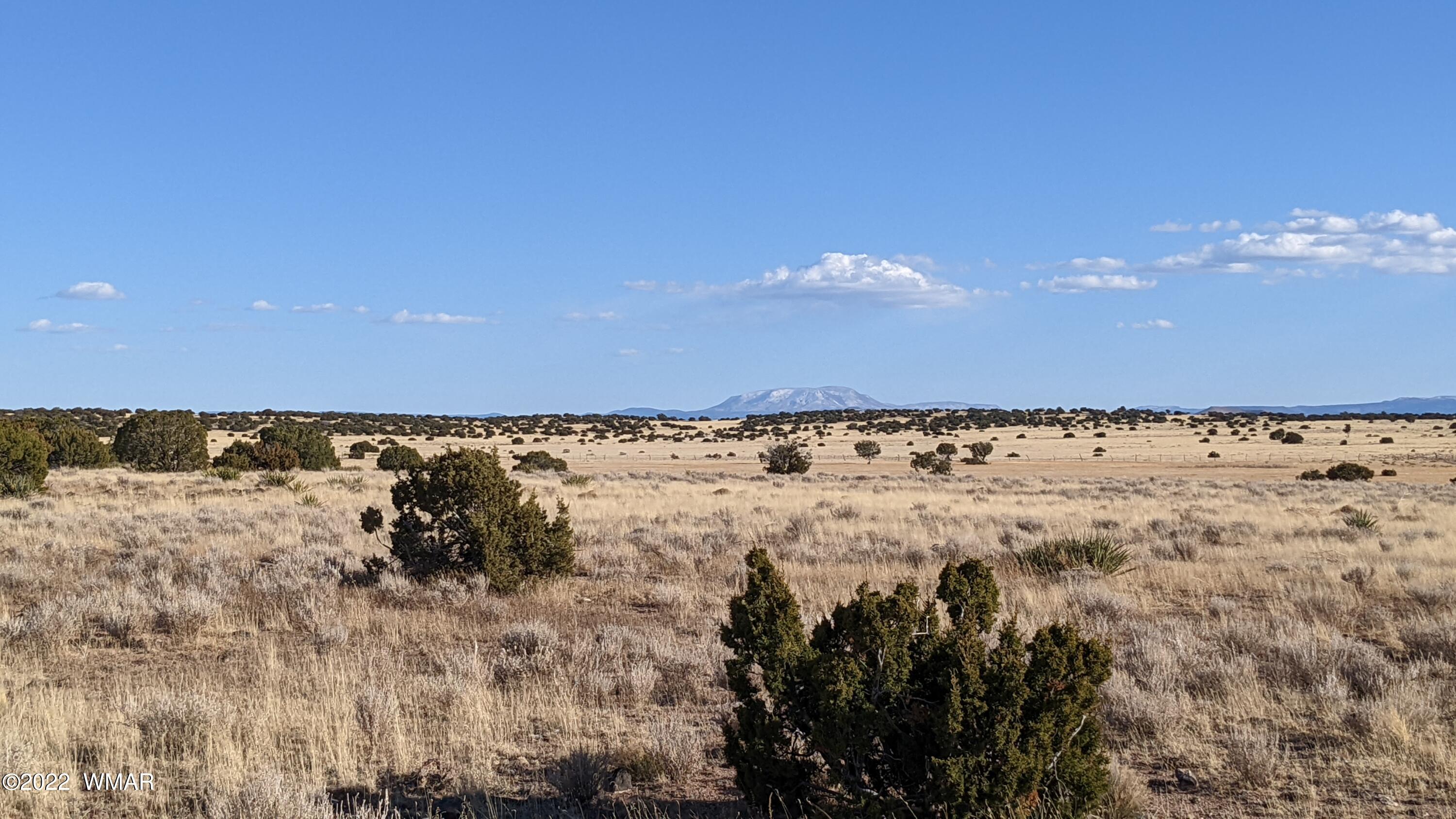 Lot 323 River Springs Ranch St. Johns, AZ 85936 - Photo 1 of 8