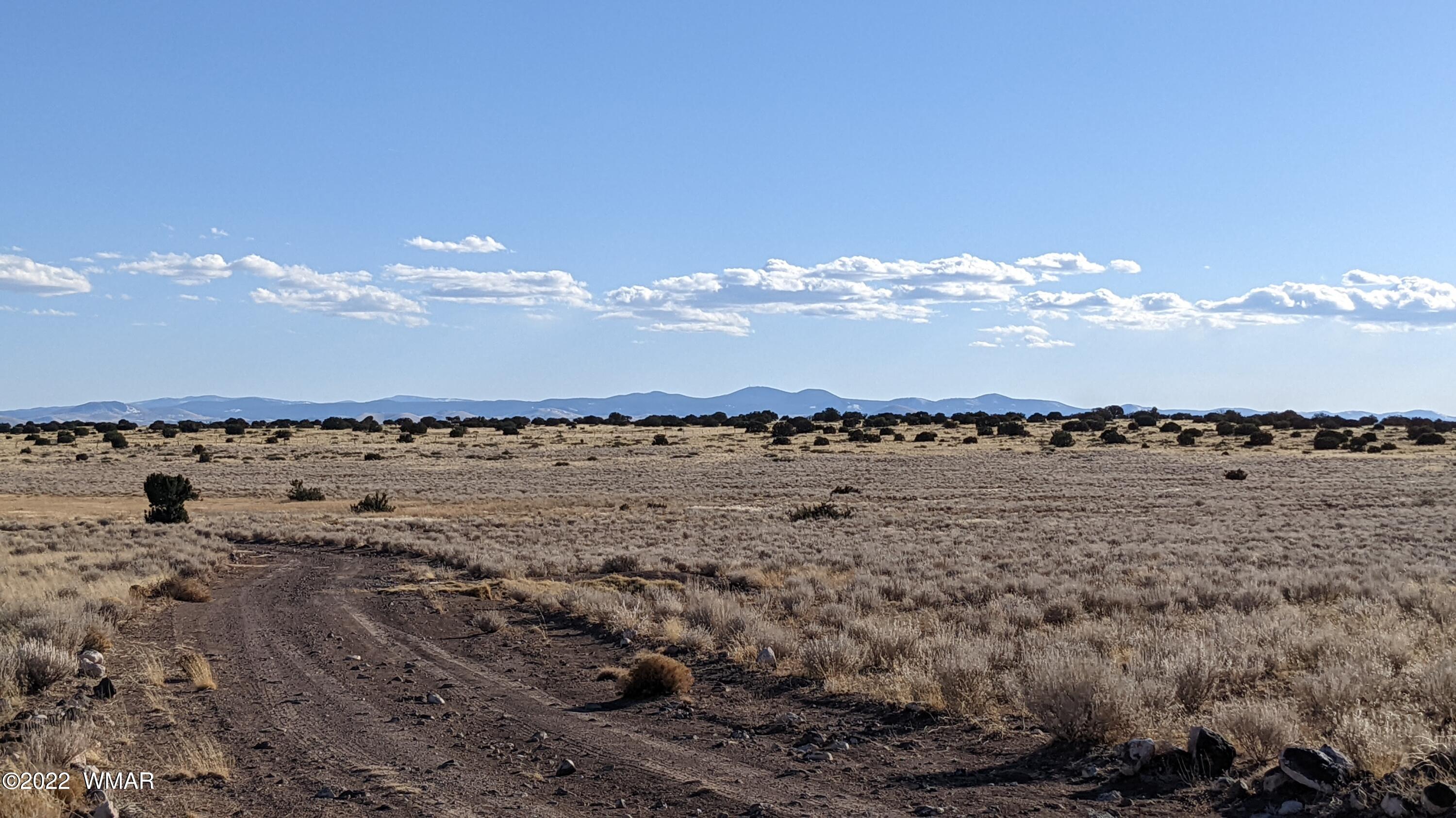 Lot 323 River Springs Ranch St. Johns, AZ 85936 - Photo 2 of 8