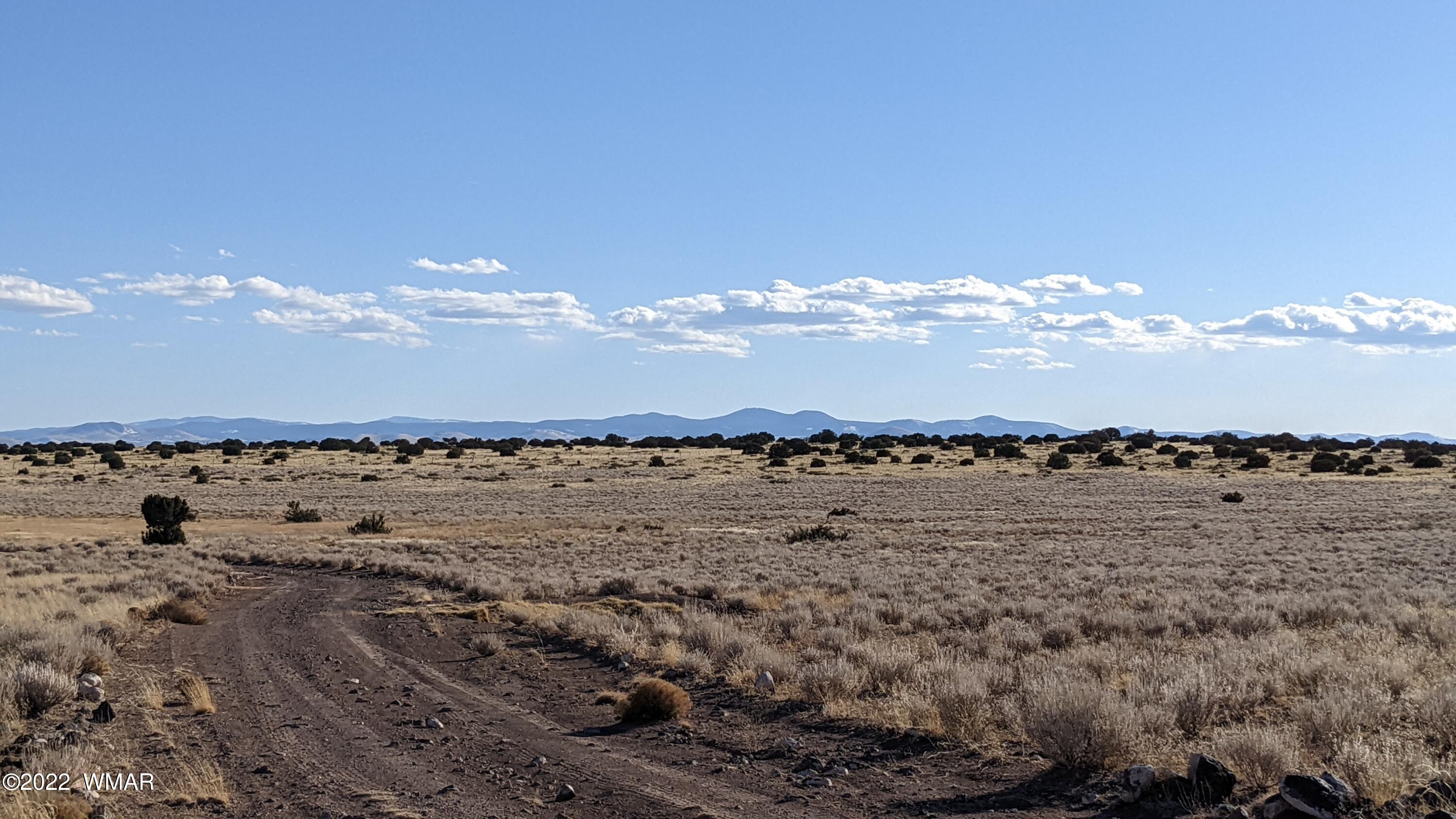 Lot 323 River Springs Ranch St. Johns, AZ 85936 - Photo 4 of 8