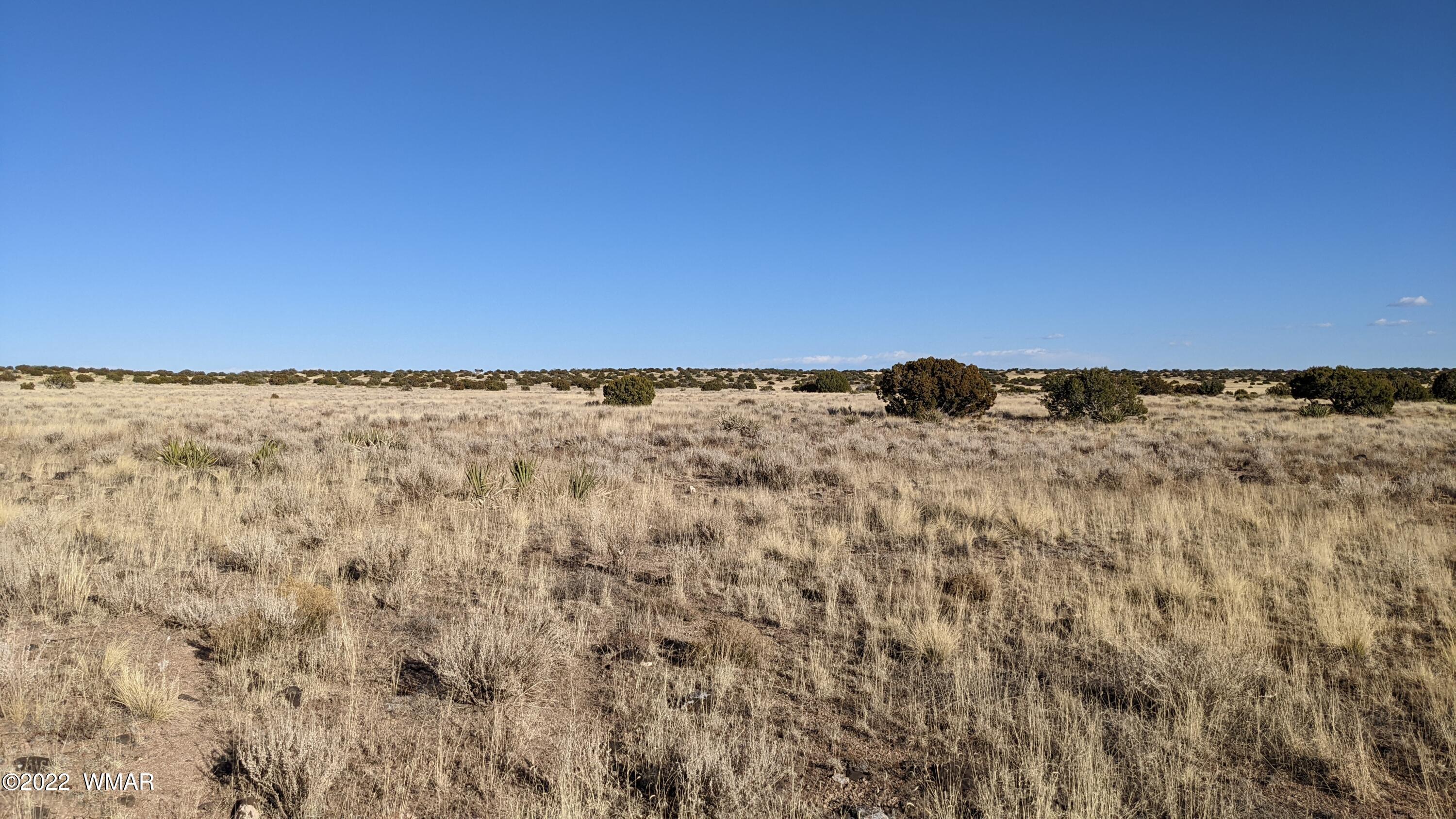Lot 323 River Springs Ranch St. Johns, AZ 85936 - Photo 6 of 8