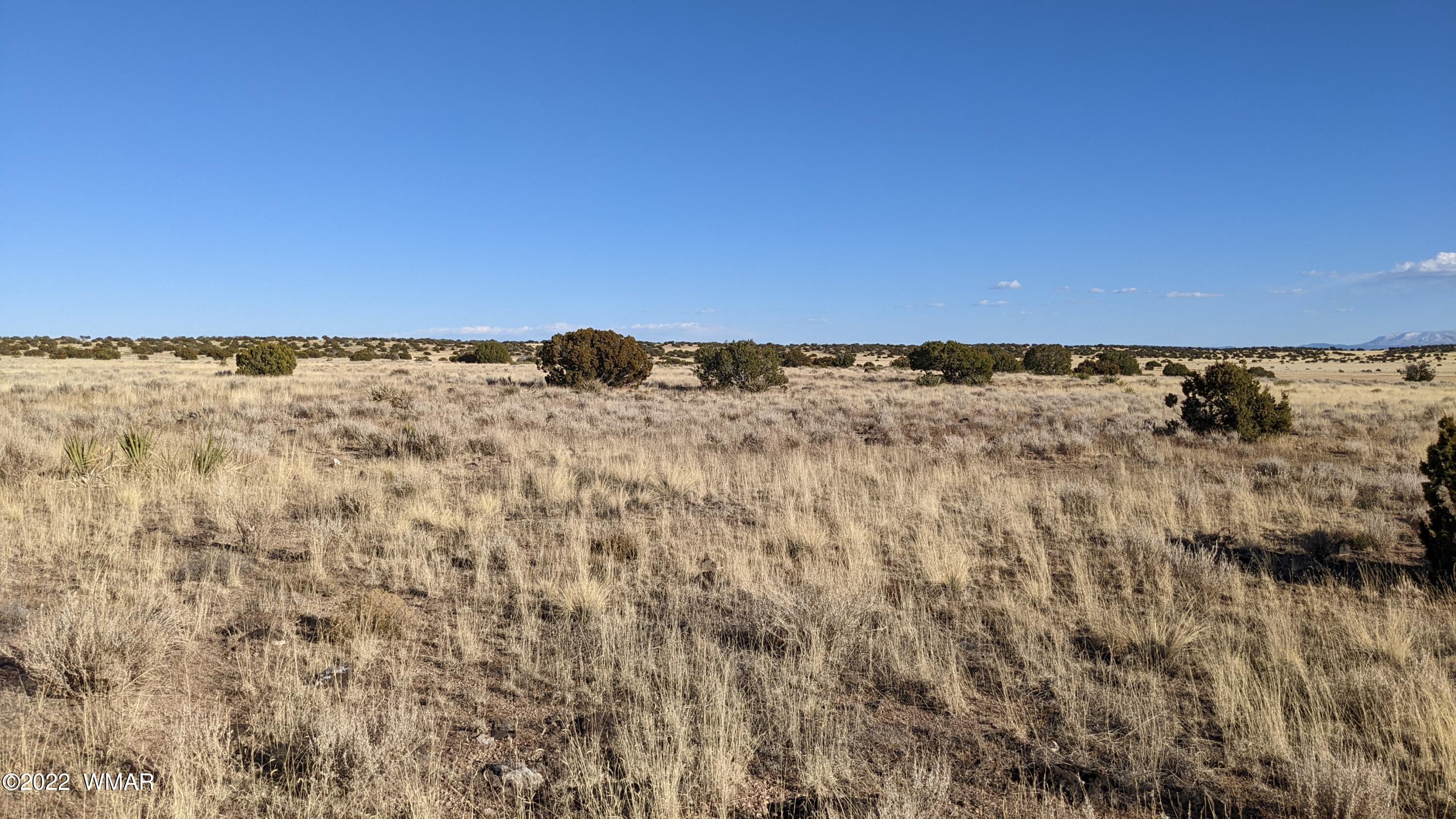 Lot 323 River Springs Ranch St. Johns, AZ 85936 - Photo 7 of 8