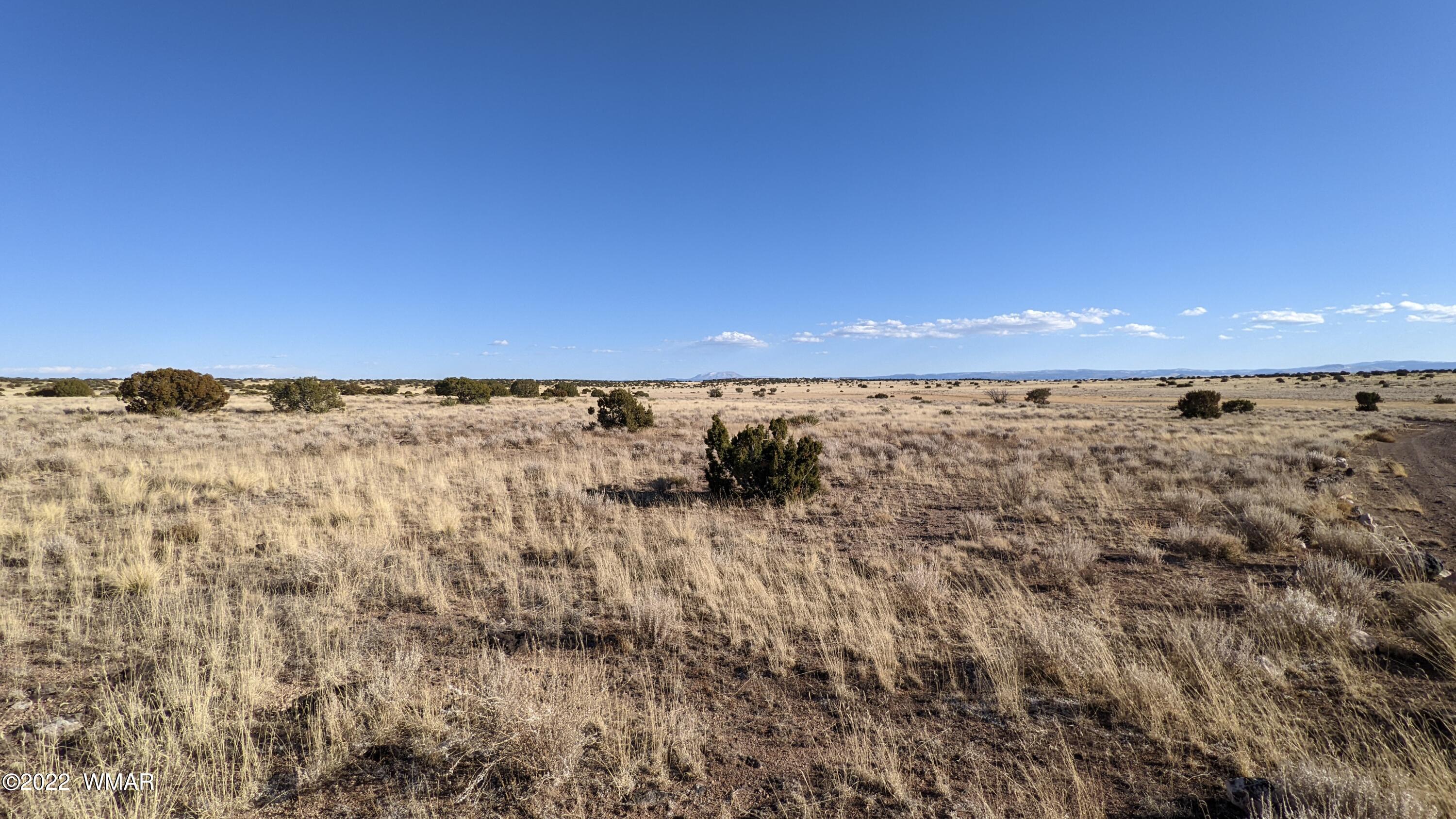 Lot 323 River Springs Ranch St. Johns, AZ 85936 - Photo 8 of 8