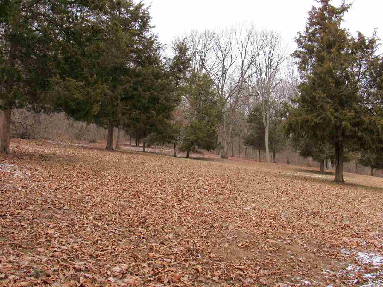 3201 North Starnes Road Bloomington, IN 47404 - Photo 6 of 7