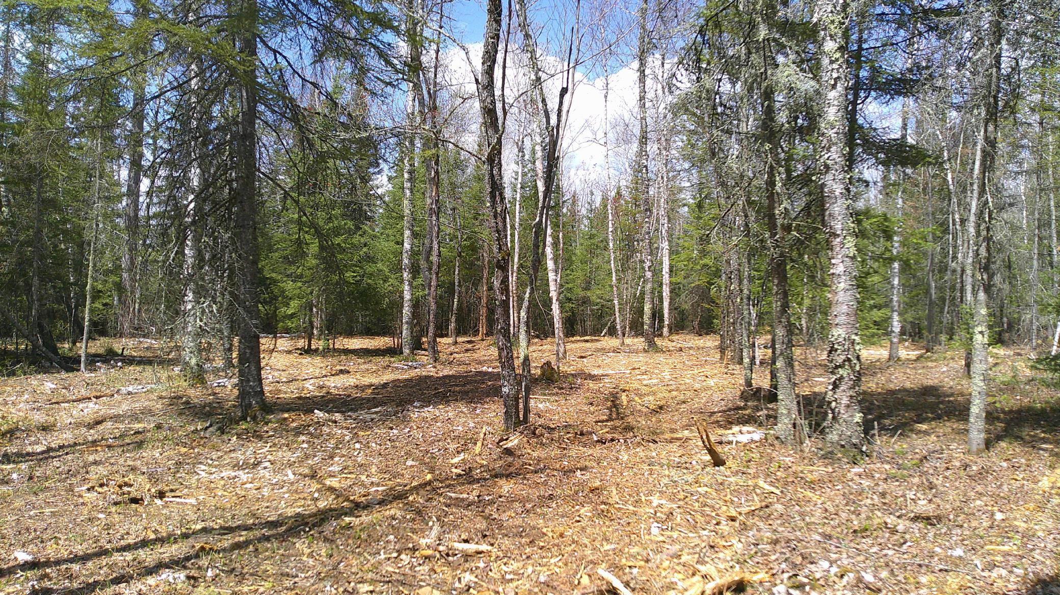 Tbd Parcel G Tbd Parcel G Frazer Bay Road Tower, MN 55790 - Photo 3 of 15