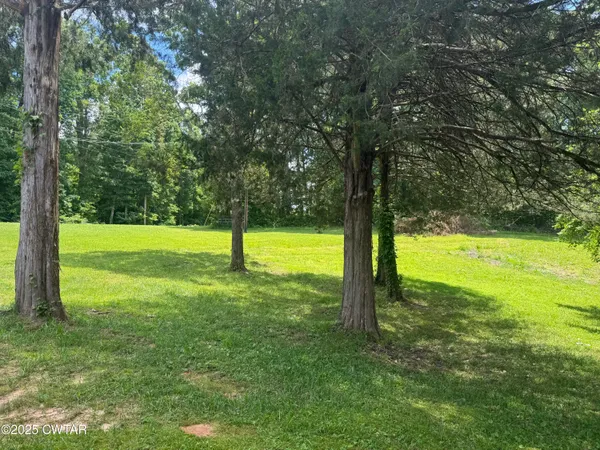 a view of a trees in a park