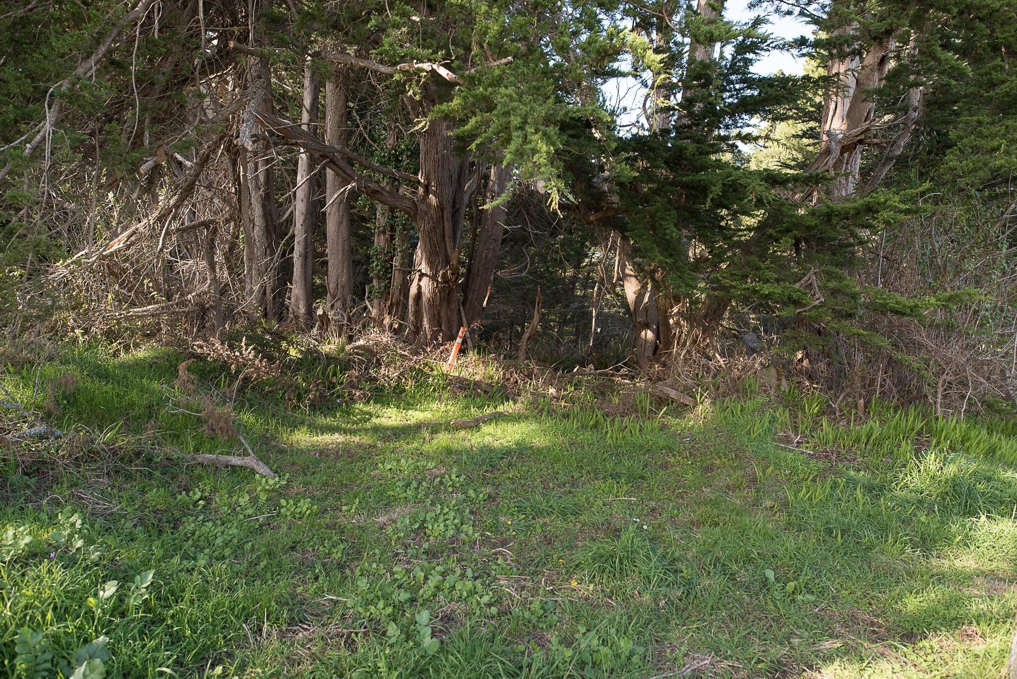 7156 Humboldt Hill Road Eureka, CA 95503 - Photo 21 of 31