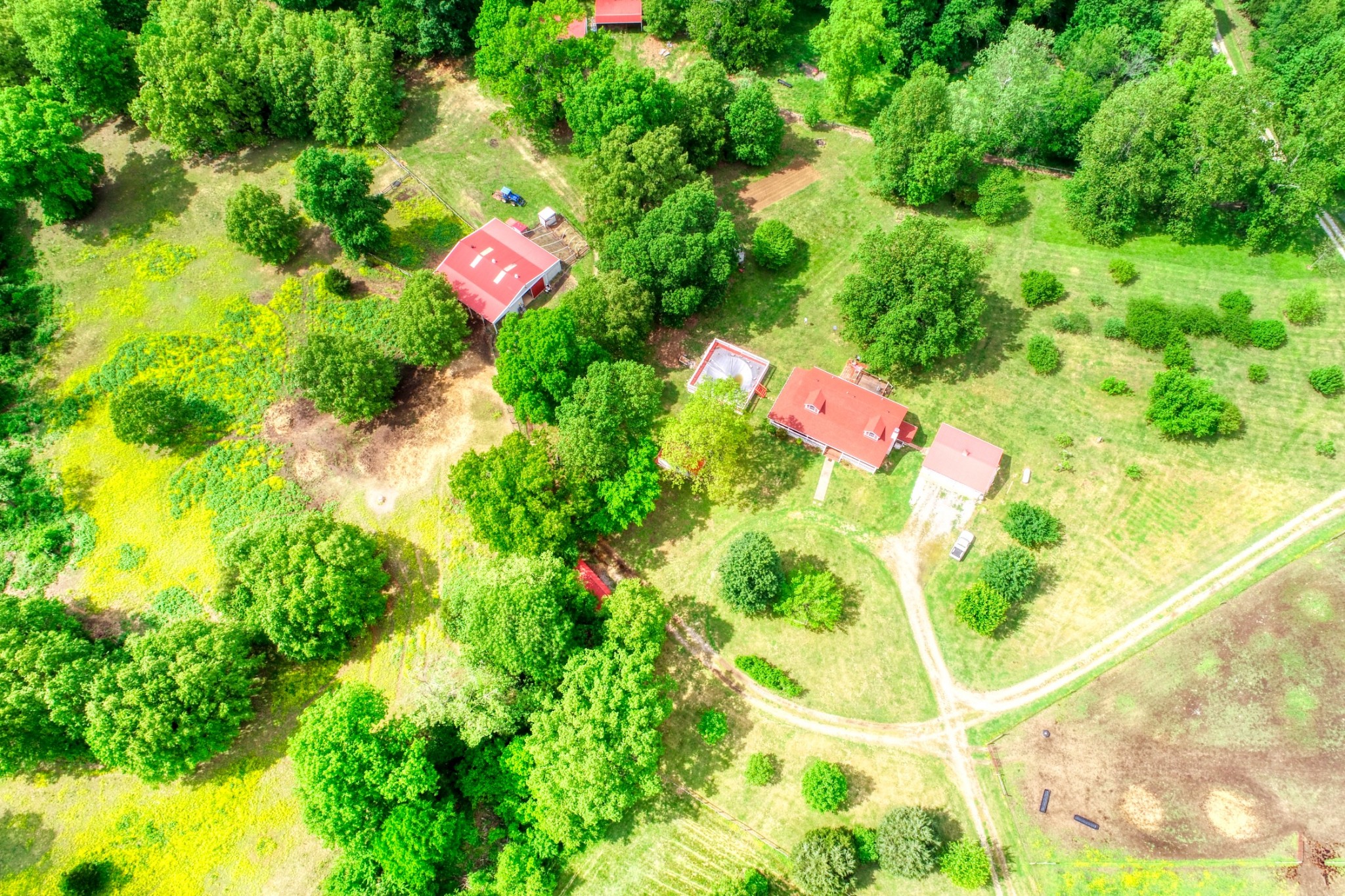 2838 New Roe Road Adolphus, KY 42120 - Photo 22 of 37 a view of a flower garden with a tree