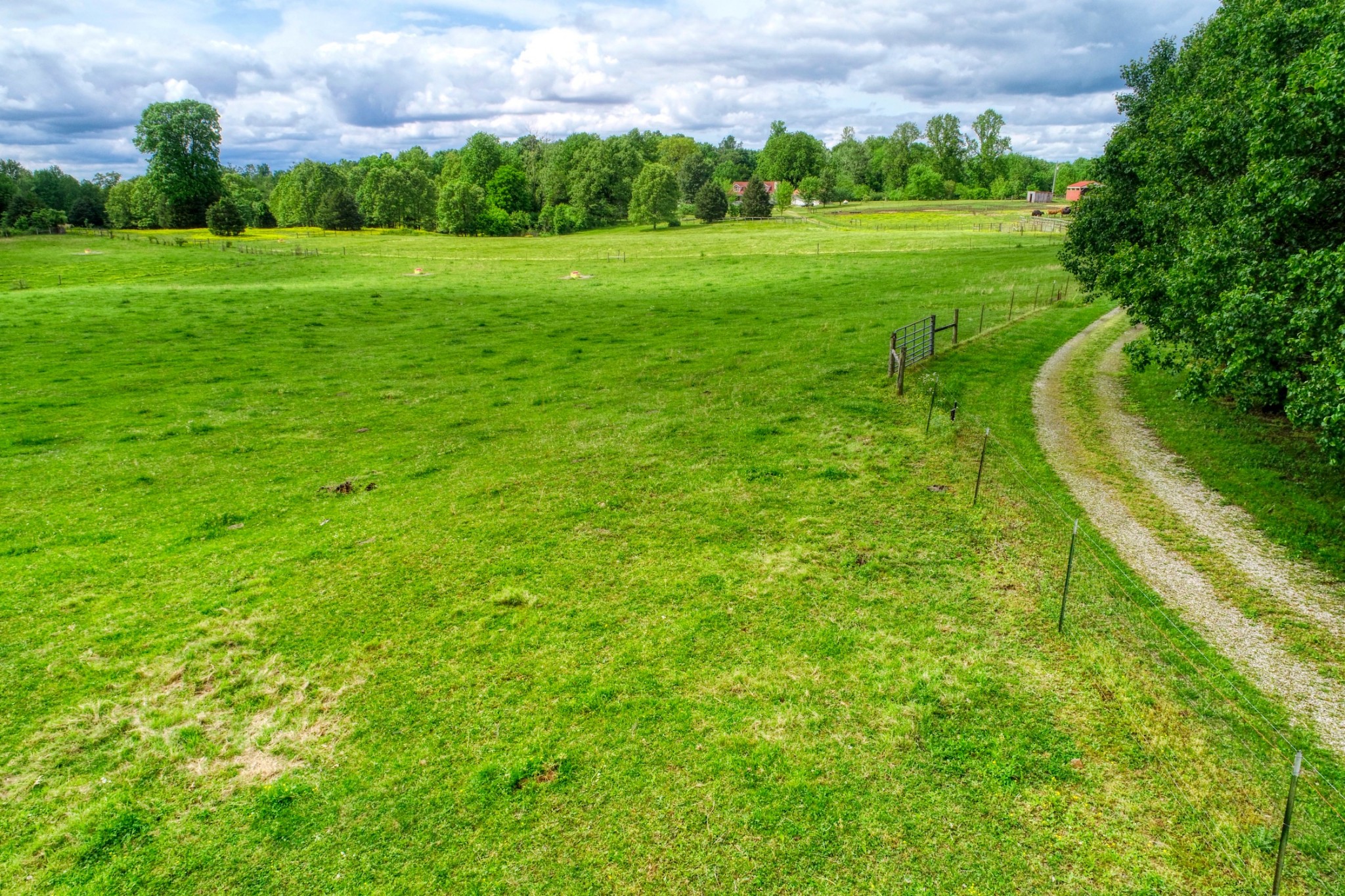 2838 New Roe Road Adolphus, KY 42120 - Photo 23 of 37 a view of a grassy field with an trees
