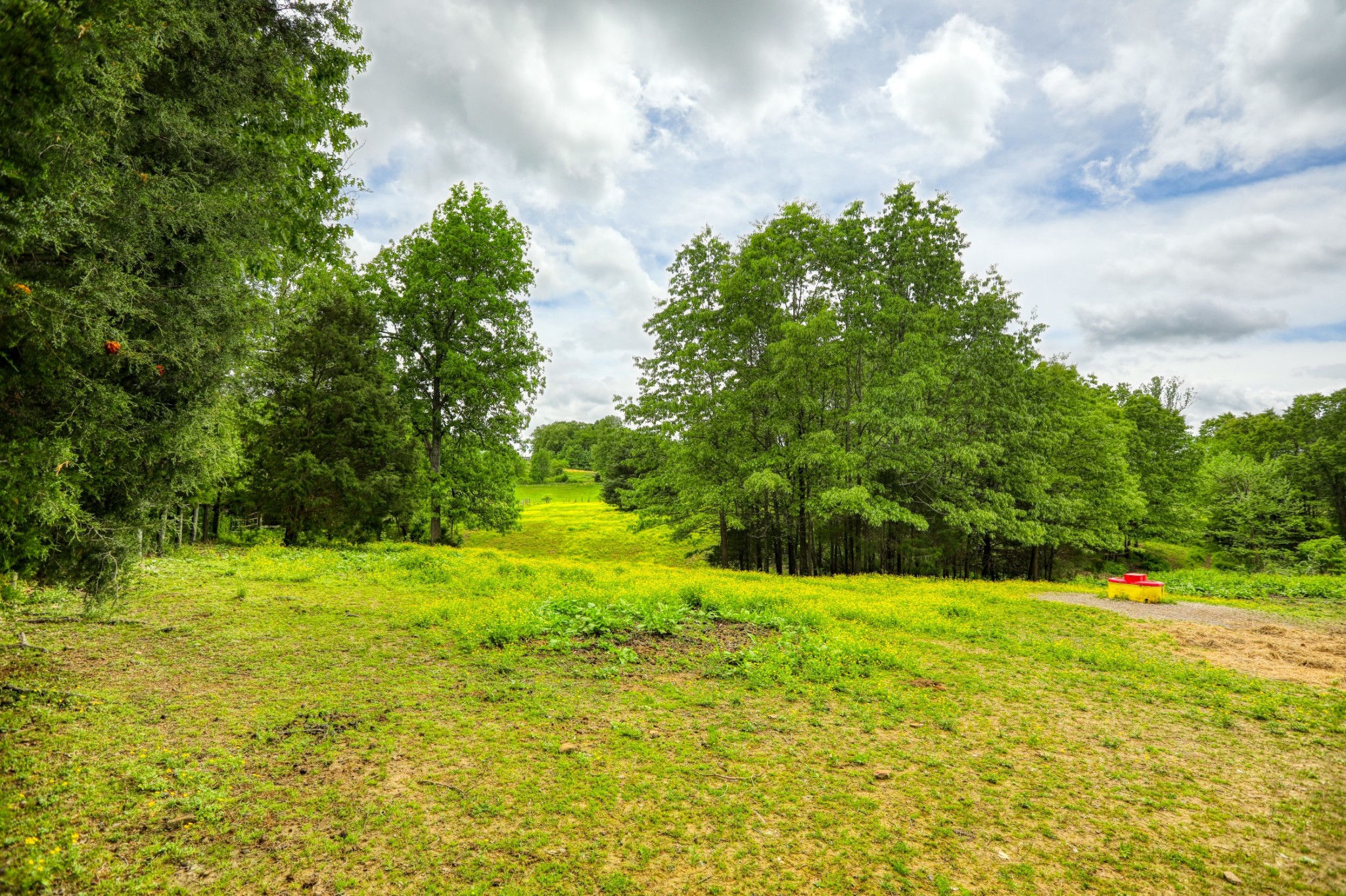 2838 New Roe Road Adolphus, KY 42120 - Photo 24 of 37 a view of a grassy field with trees around